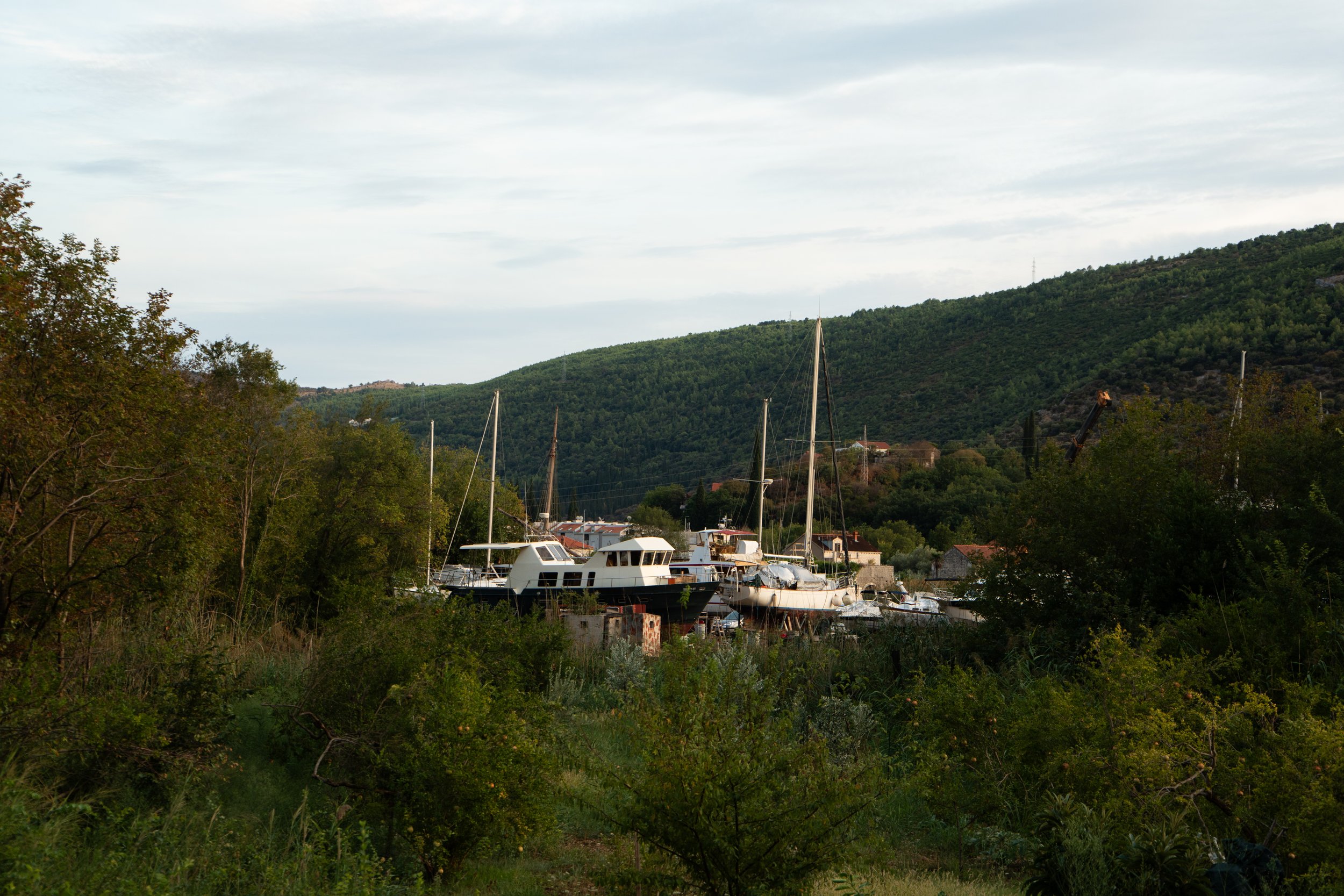 DSC03486.JPG