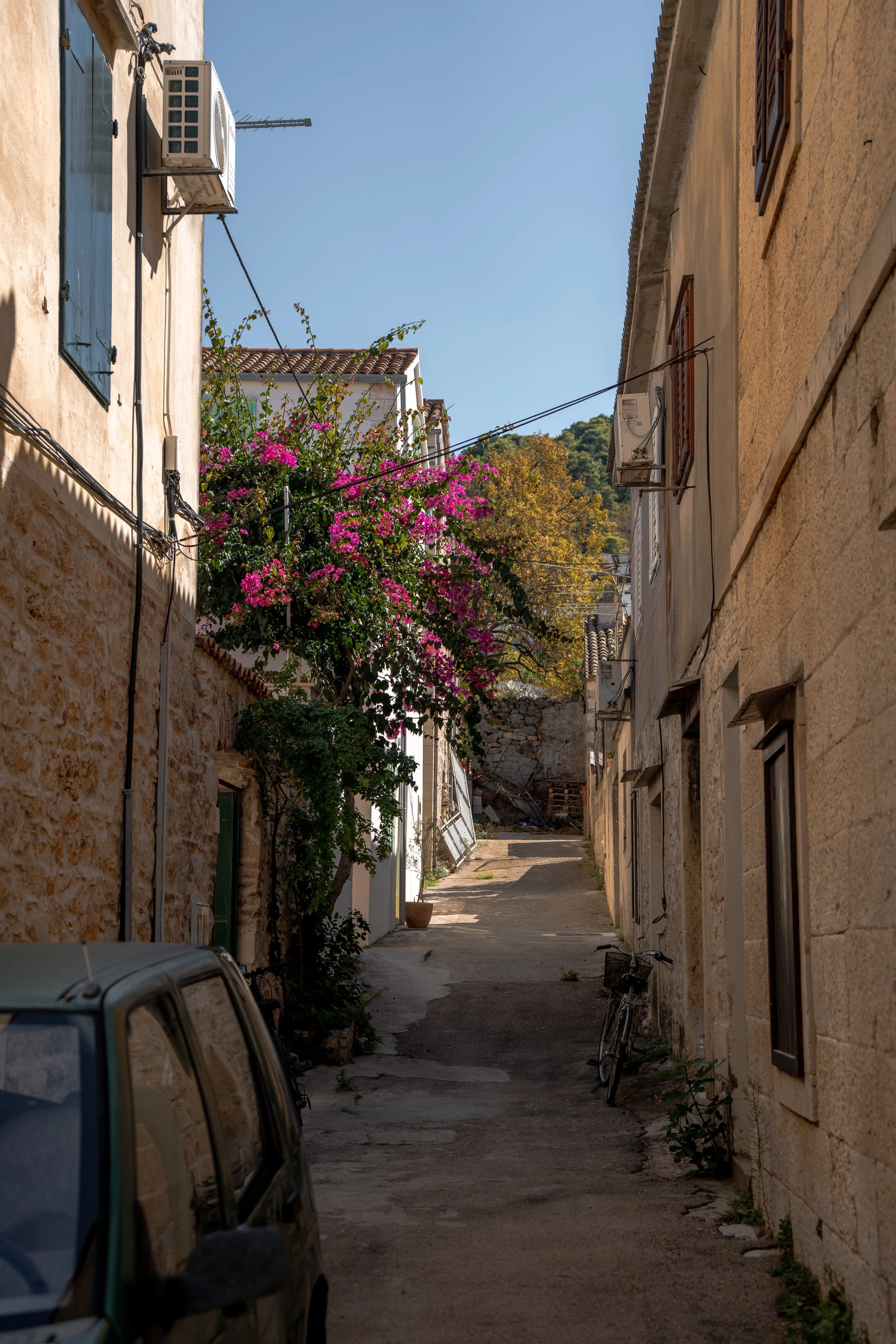 DSC03346.JPG