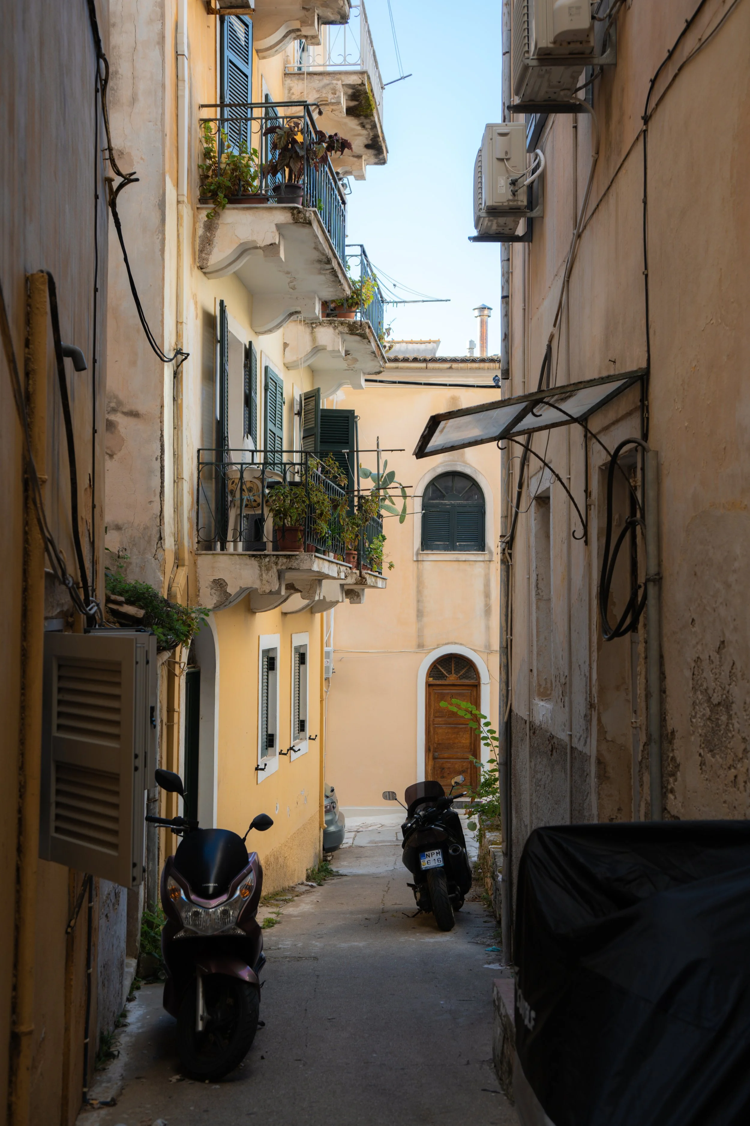 DSC03658.JPG