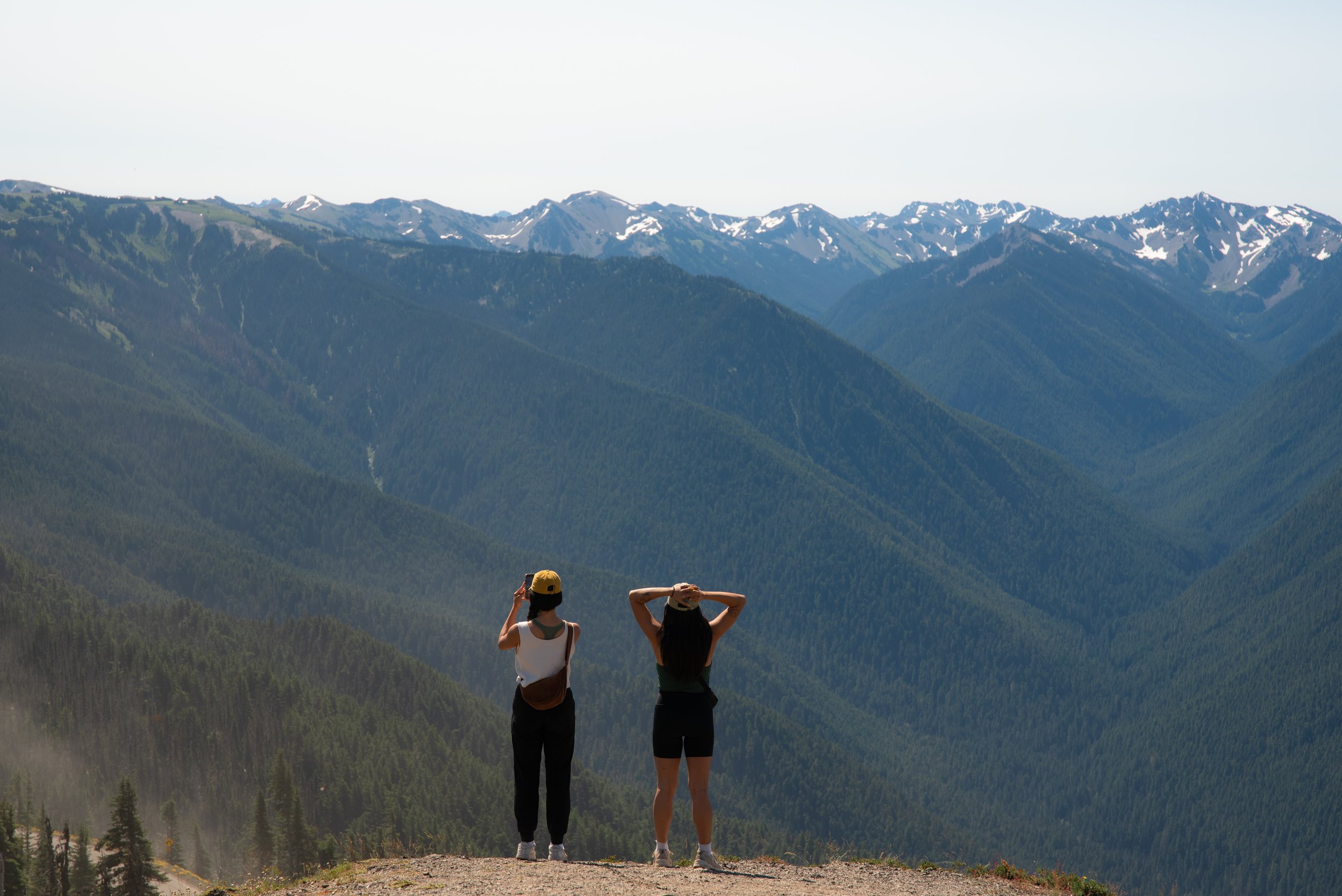 20240728_203126201_iOS (1).jpg