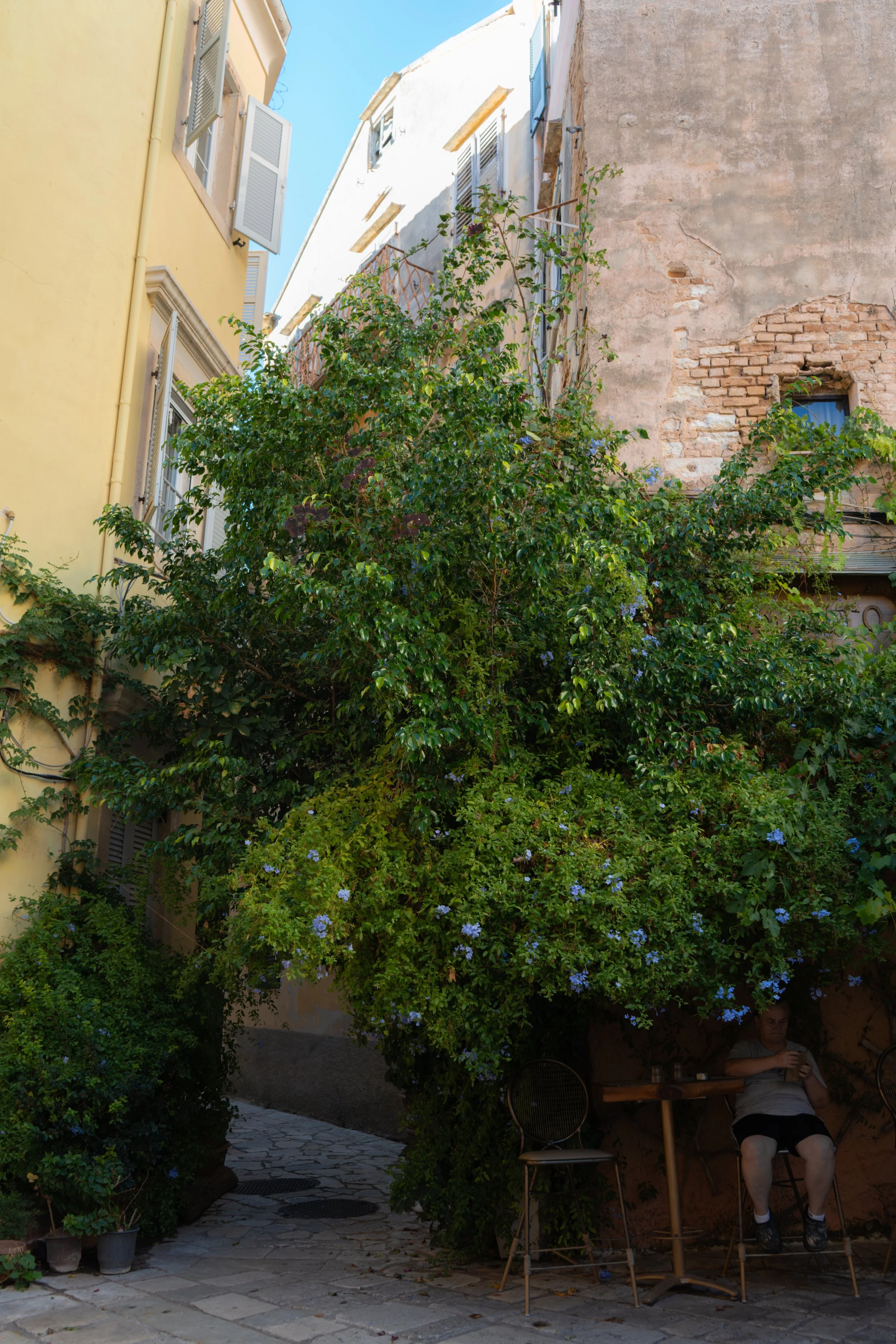 DSC03657.JPG