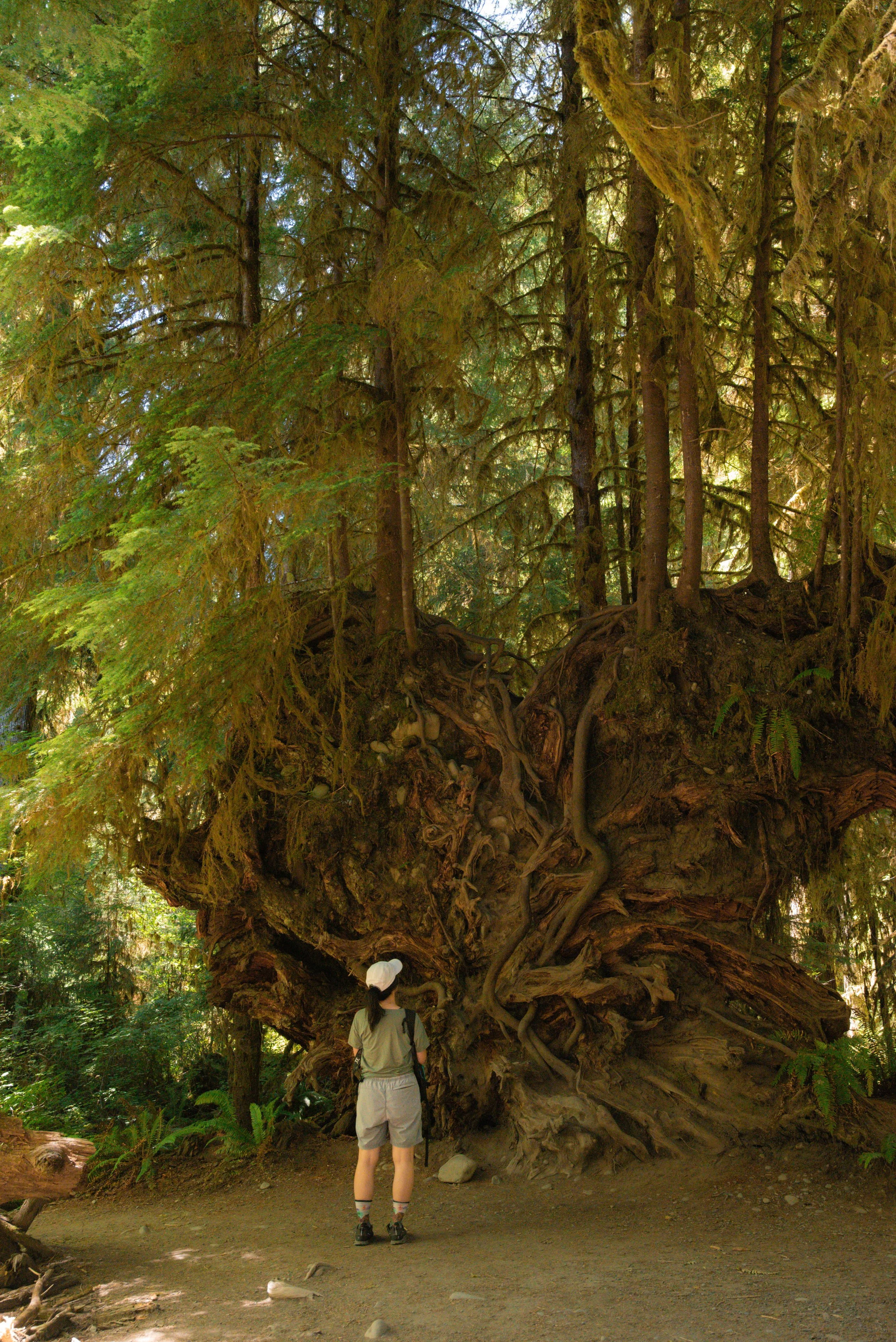 20240728_031034074_iOS (1).jpg