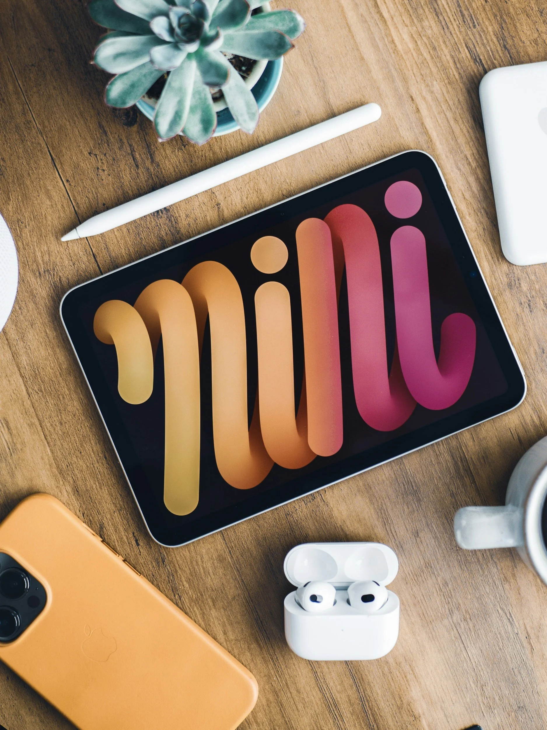 How To Screenshot On IPad Mini All Models 