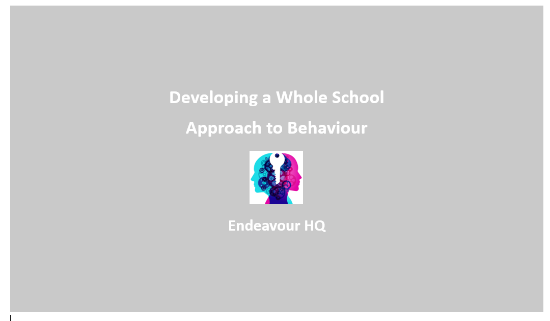 Developing a Whole School Approach to Behaviour in Primary Schools