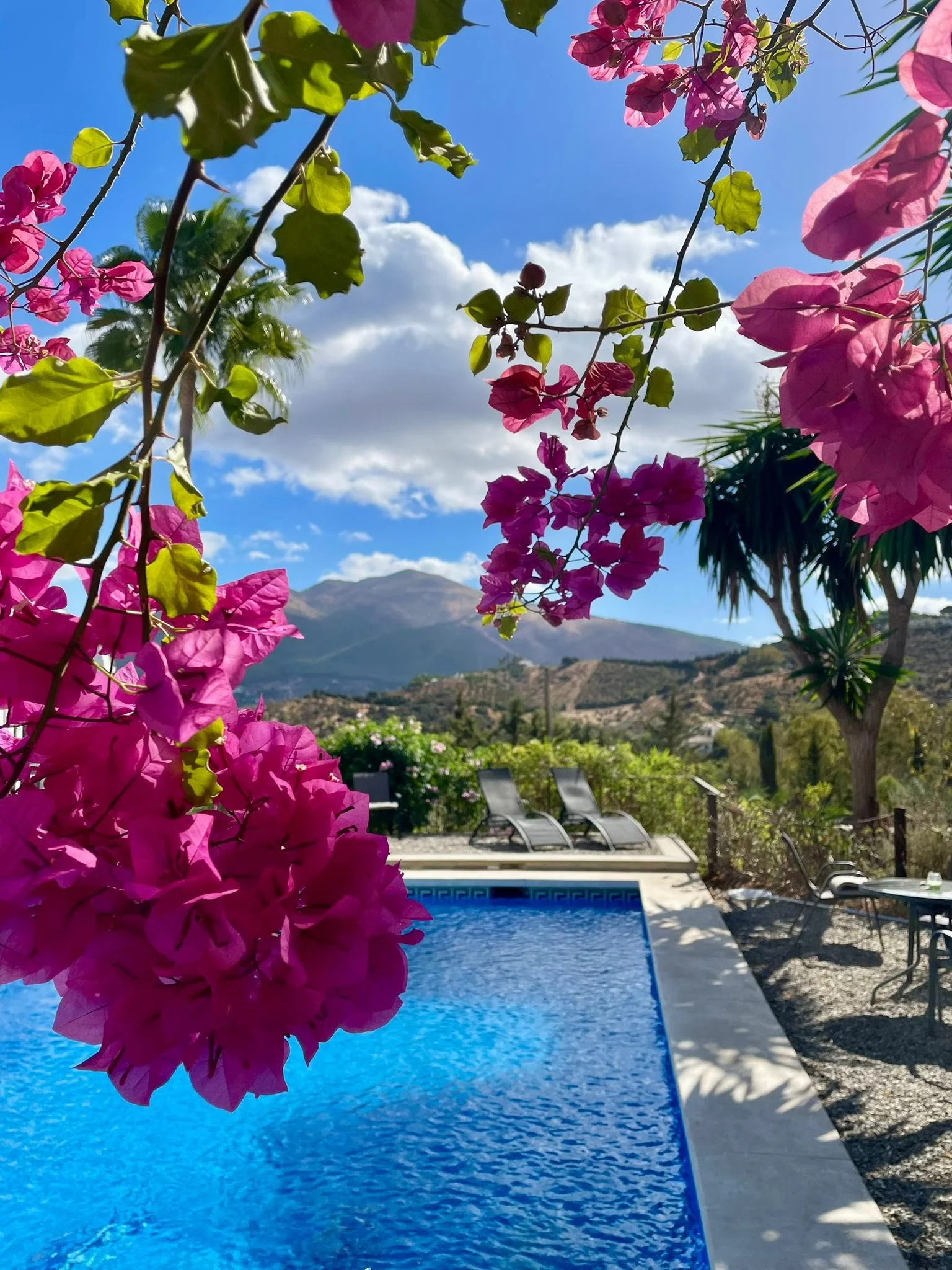 Thinking of Moving to Andalucía? Meet Andrew at Cortijo Fruitful Hills