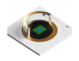 DishBrain Documentary