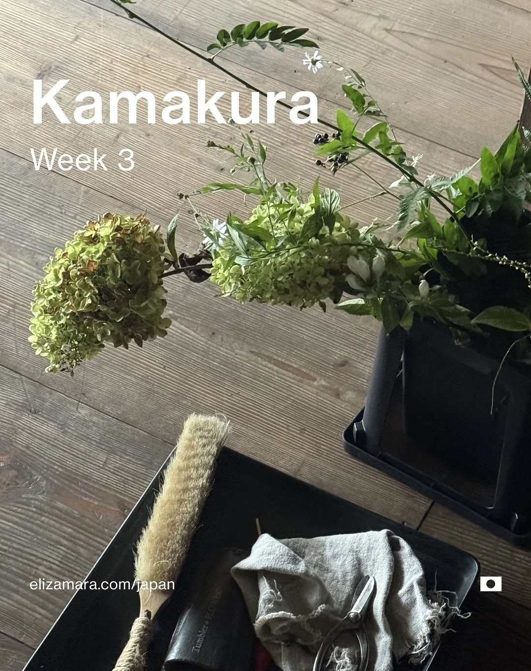 This weeks focus goes from Tokyo to Kamakura, from danchi to ikebana, which is the main reason for the residency - craft collaboration. Witnessing how Toru works when arranging flowers was something else, even the prep for it, but there are a lot of 