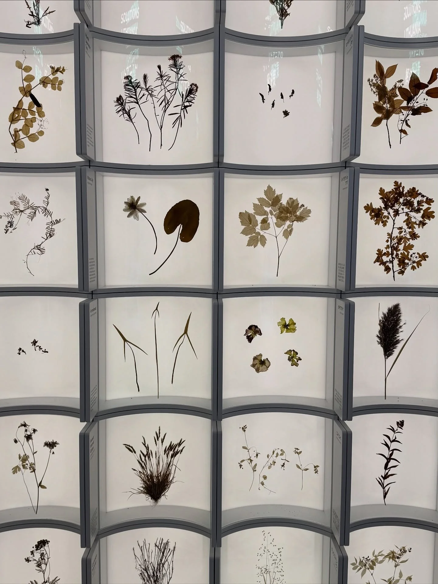 Thank you EXPO 🤍

Yesterday the EXPO 2025 Osaka, Kansai closed it&rsquo;s doors after 6 months of taking in visitors from around the world. It&rsquo;s quite bittersweet as on Sunday we also closed the Artisanal Intelligence exhibition in Kyoto, so i