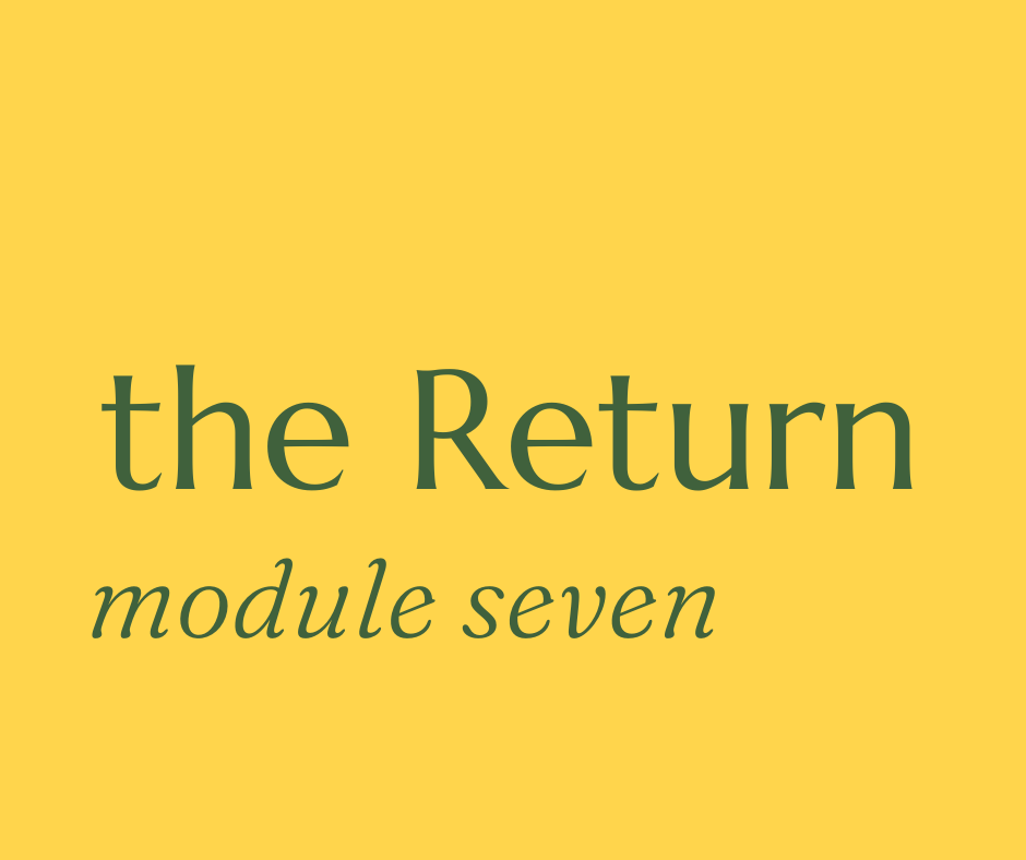 The Return/Module Seven