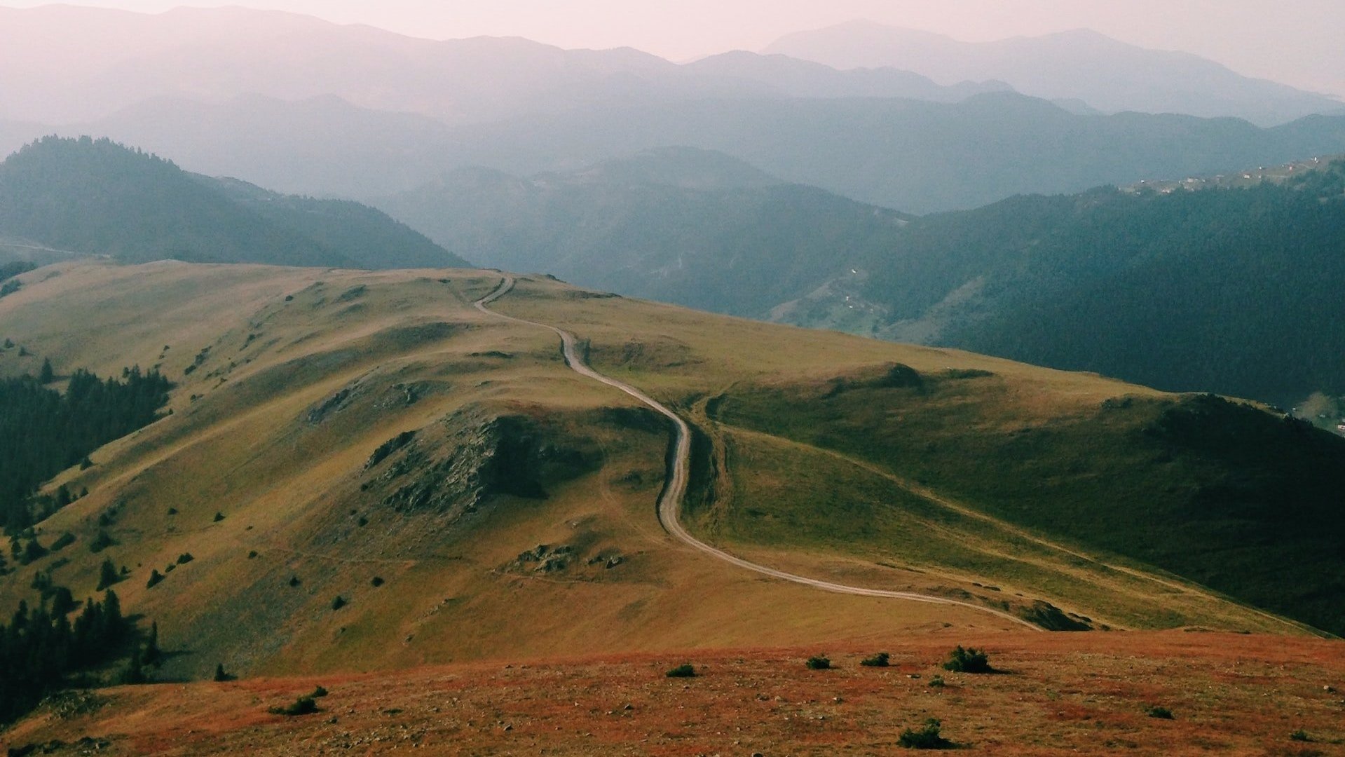 Landscape of Labor