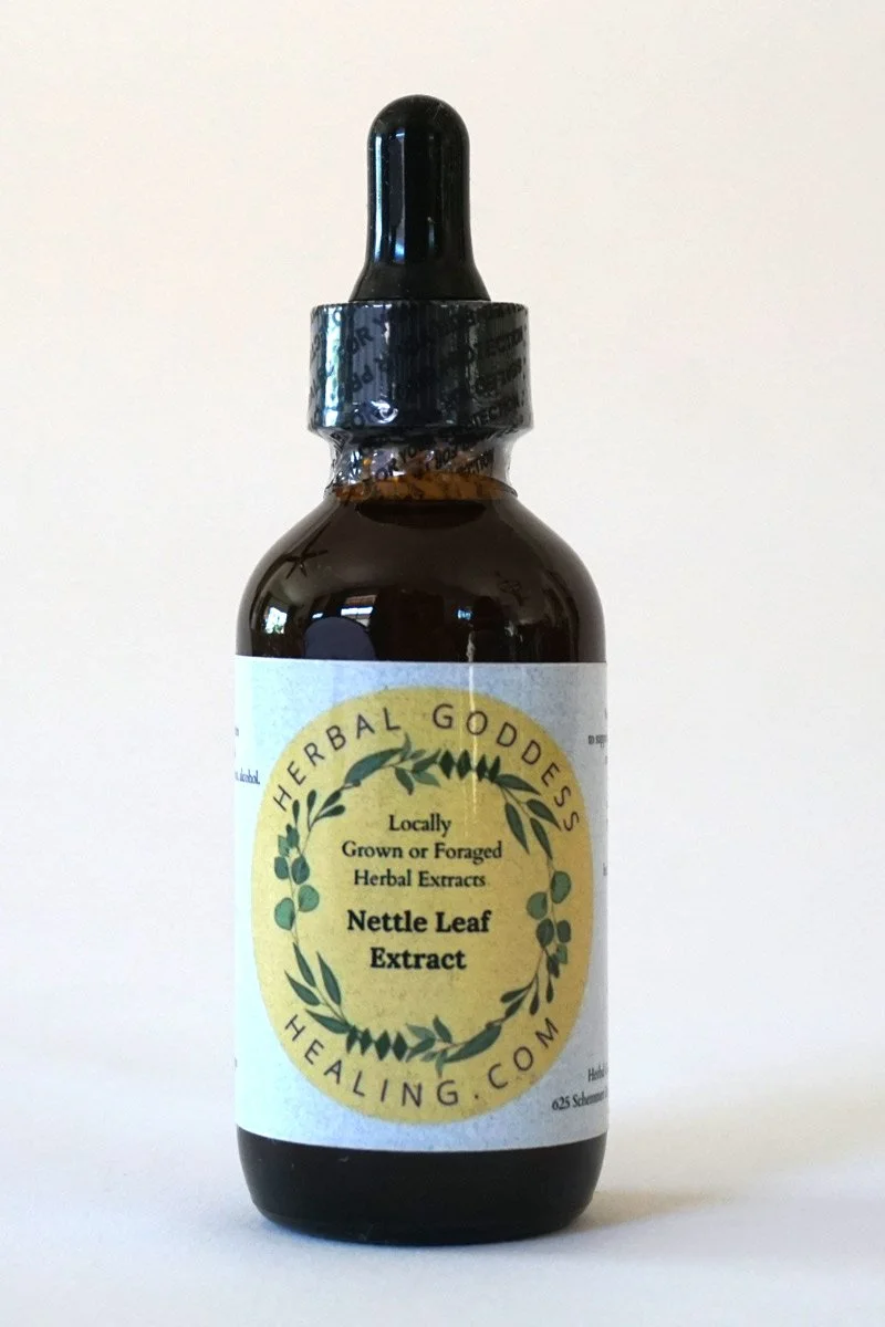 Fresh Nettle Leaf extract 2 FL oz