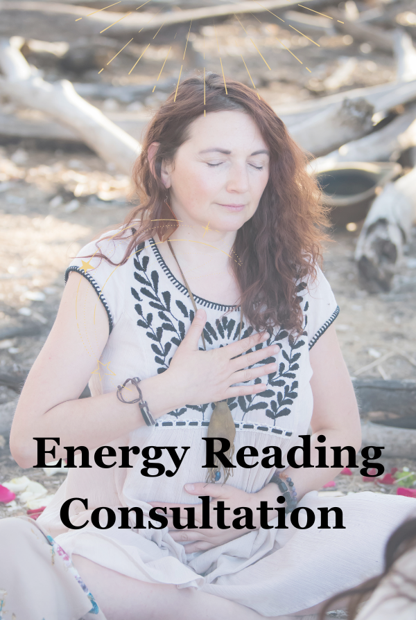 Energy Reading Consultation (Remote Only)