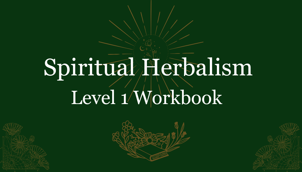 Level 1 Workbook Cover.png