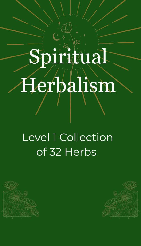 Entire Herb Collection for Online Workshops