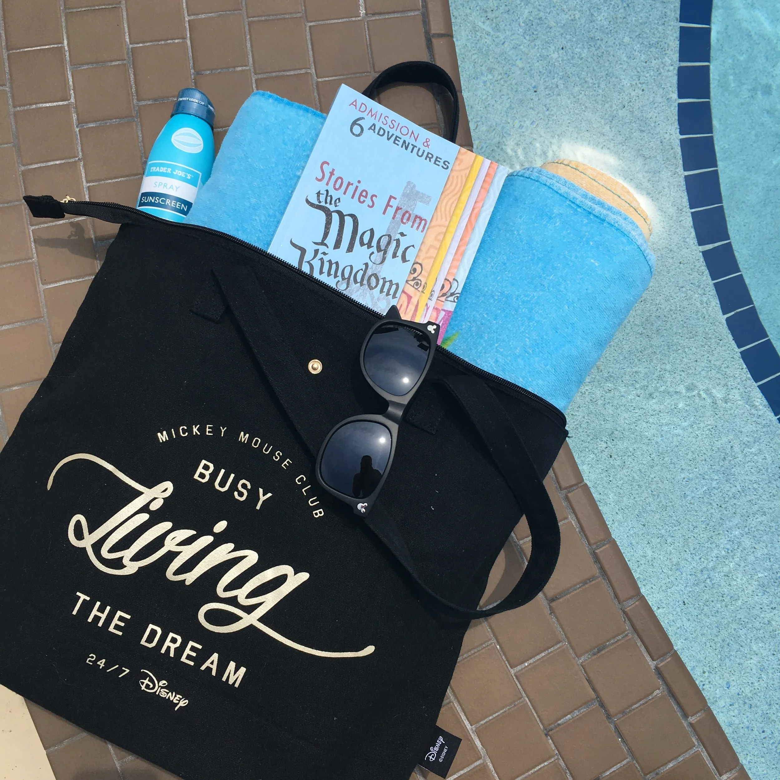 Stories from the Magic Kingdom: A Must-Read Book for Adult Disney Fans!