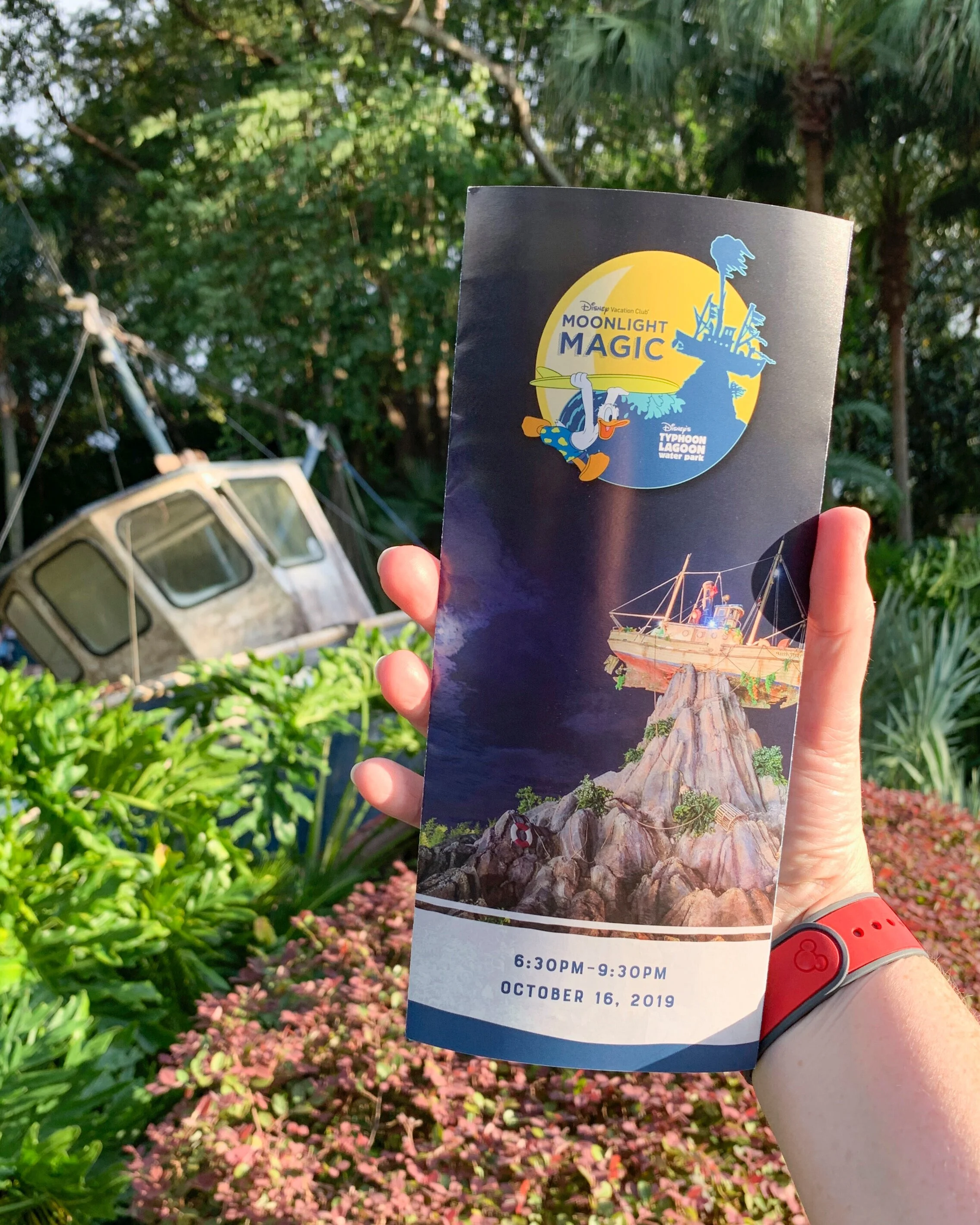 Disney Vacation Club Moonlight Magic Event Recap Typhoon Lagoon Water