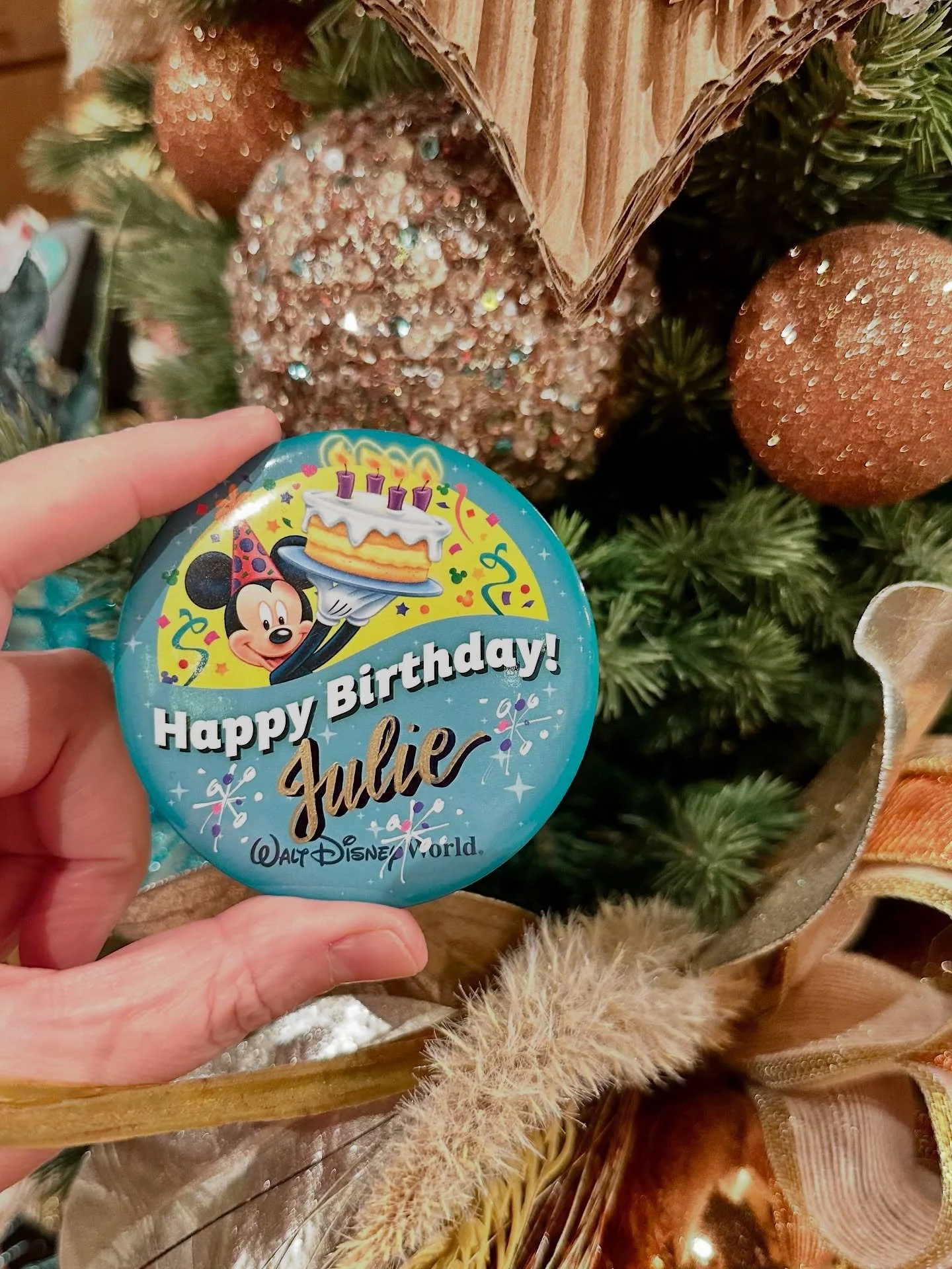 ✨Had a magical weekend celebrating Julie&rsquo;s birthday. We packed in a lot of fun in 72 hours. Here are some highlights from the last few days:
- A visit to Animal Kingdom to see the Merry Menagerie and Tree of Life Awakenings Holiday 
- Dinner at