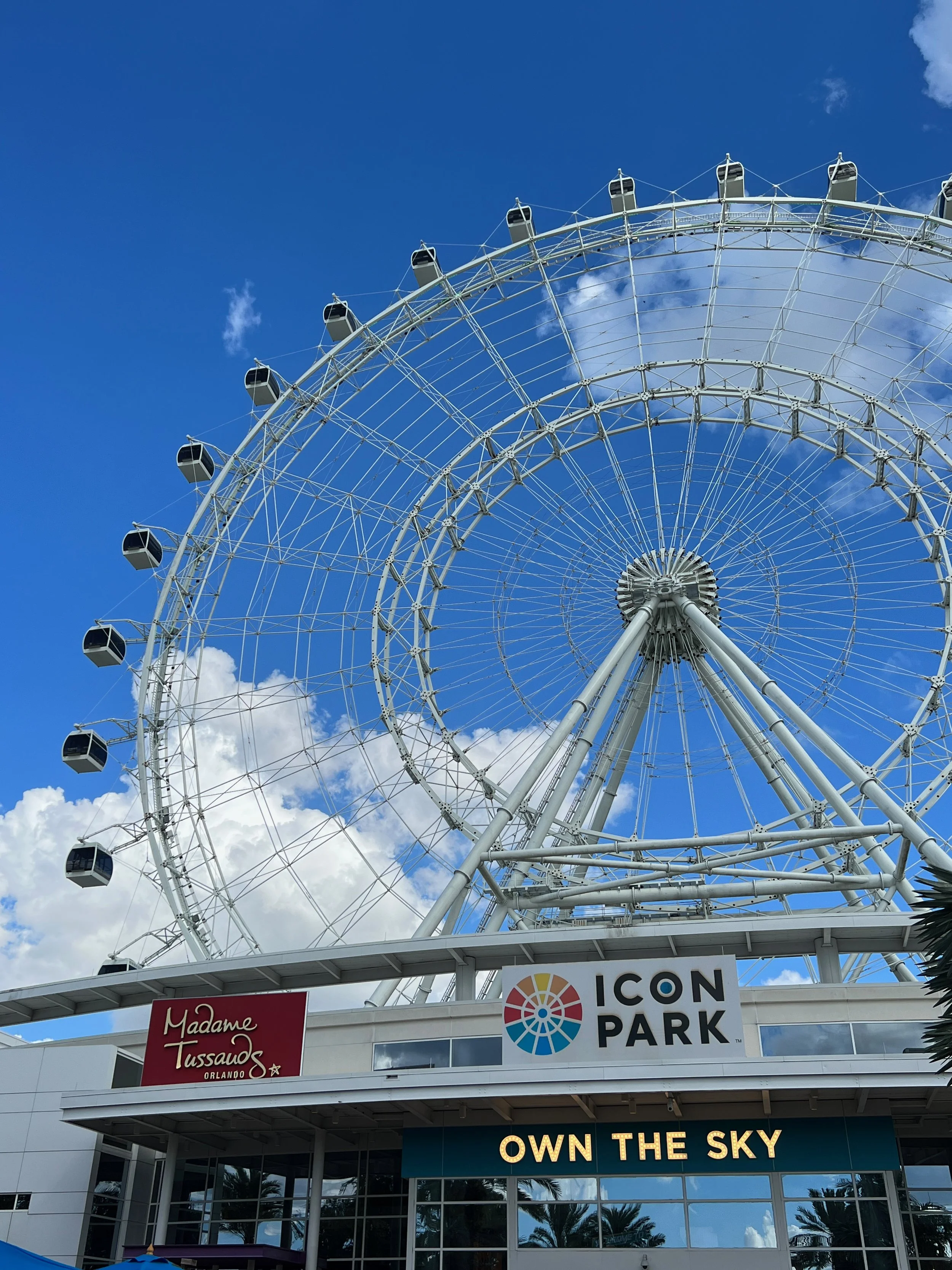 The Ferris Wheel at ICON Park.