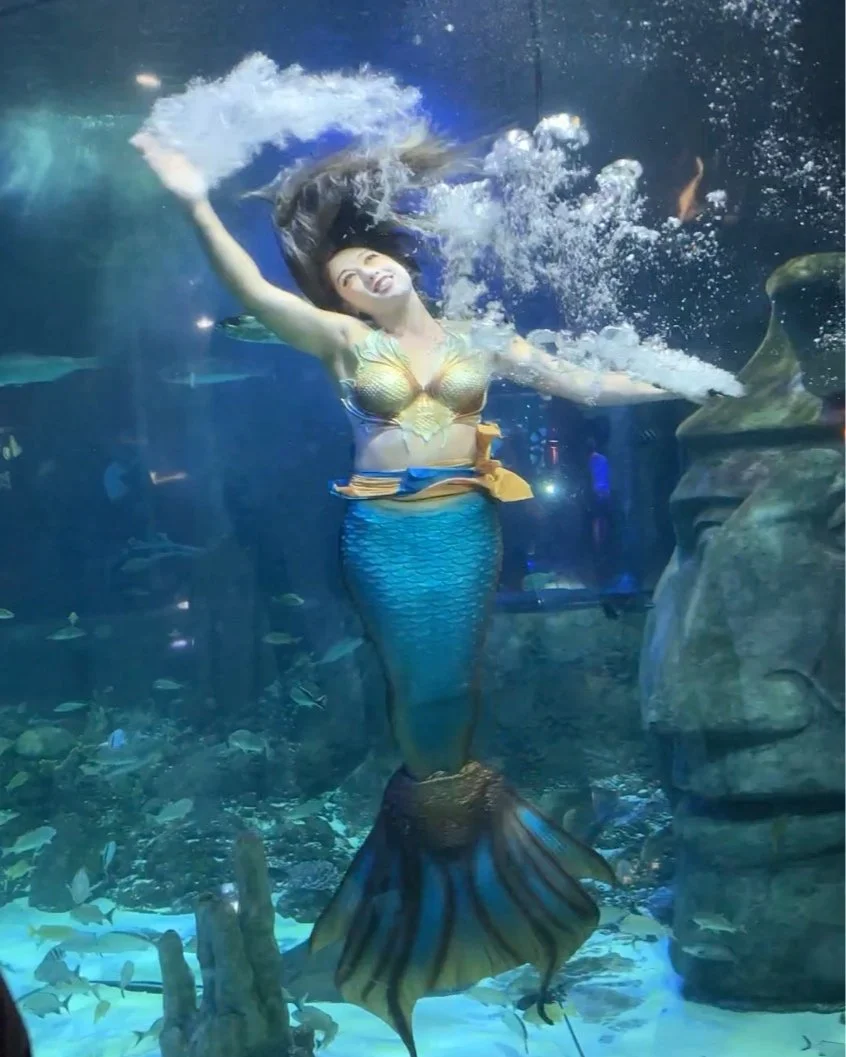 Mermaid At SEA LIFE Orlando Aquarium