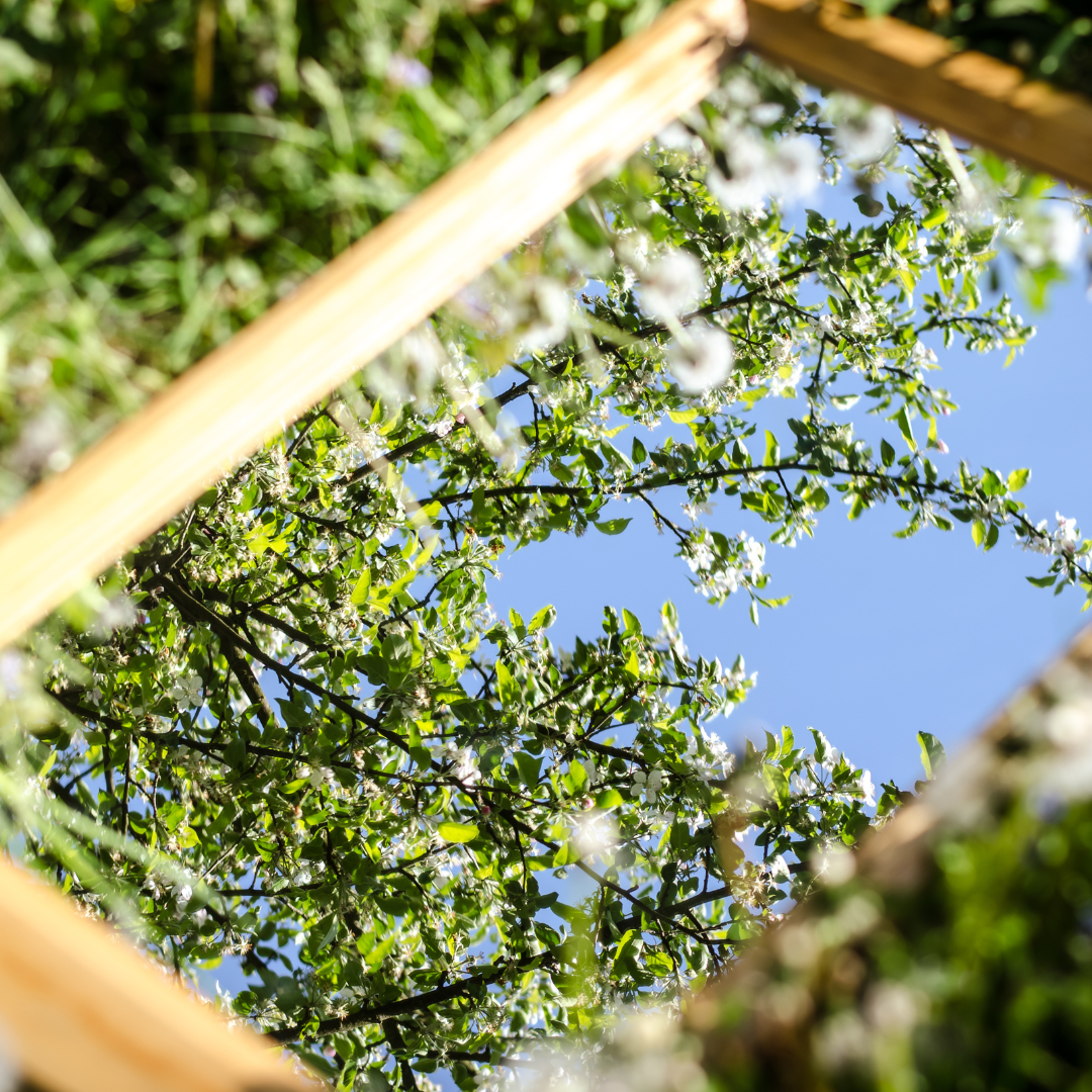 MOCAKIDS Love Yourself!