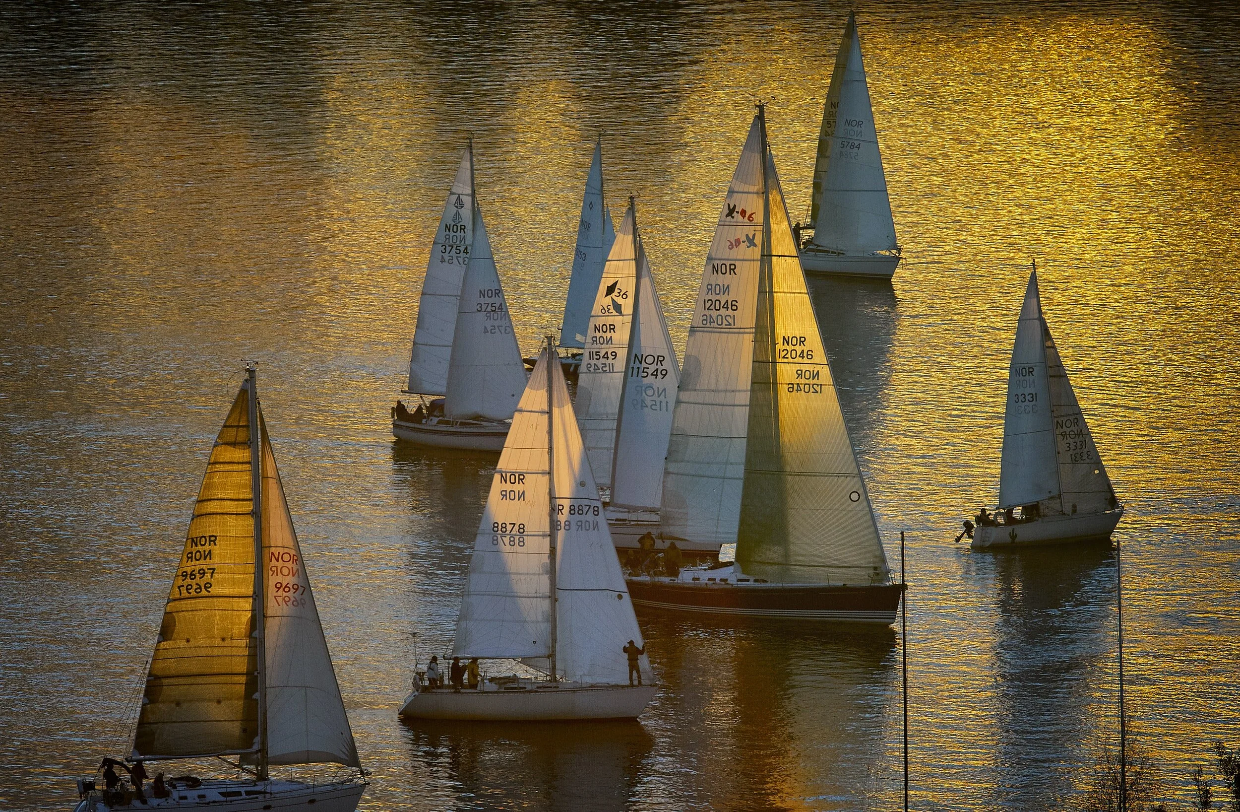 Sea of Boats Activity Sheet
