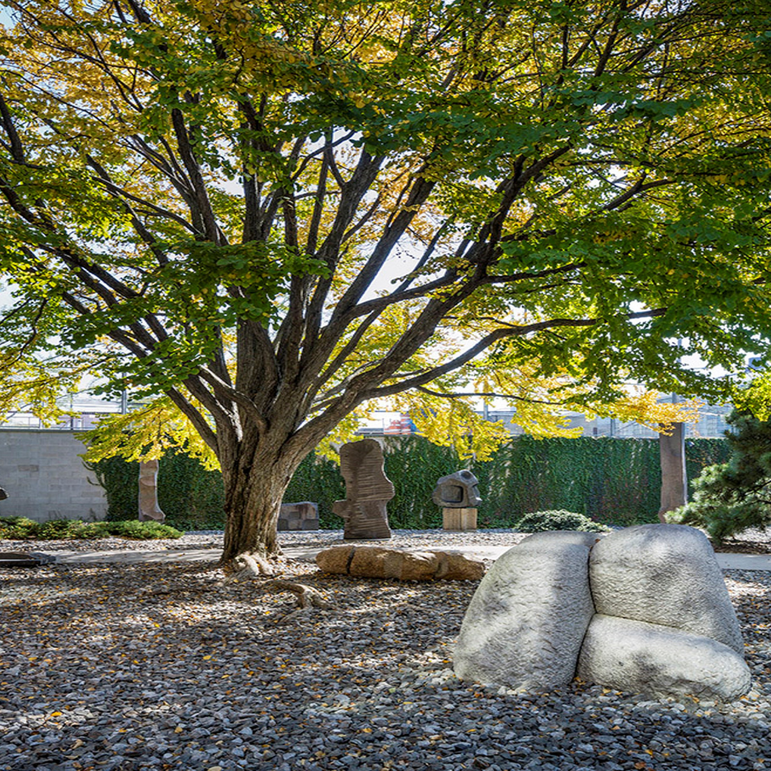 Area 2 Sculpture Garden at Noguchi Museum