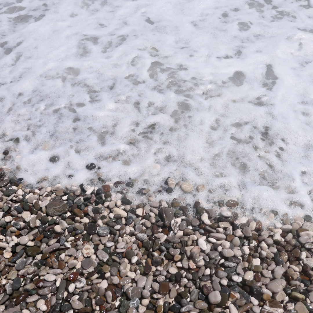 "Walk on Water": A Performance by Guadalupe Maravilla