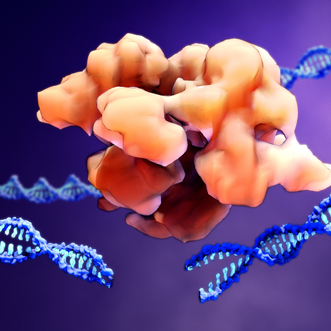 CRISPR Monster or Miracle? — Culture Connected