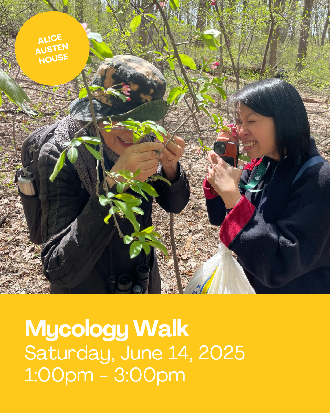 Mycology Walk with NYMS