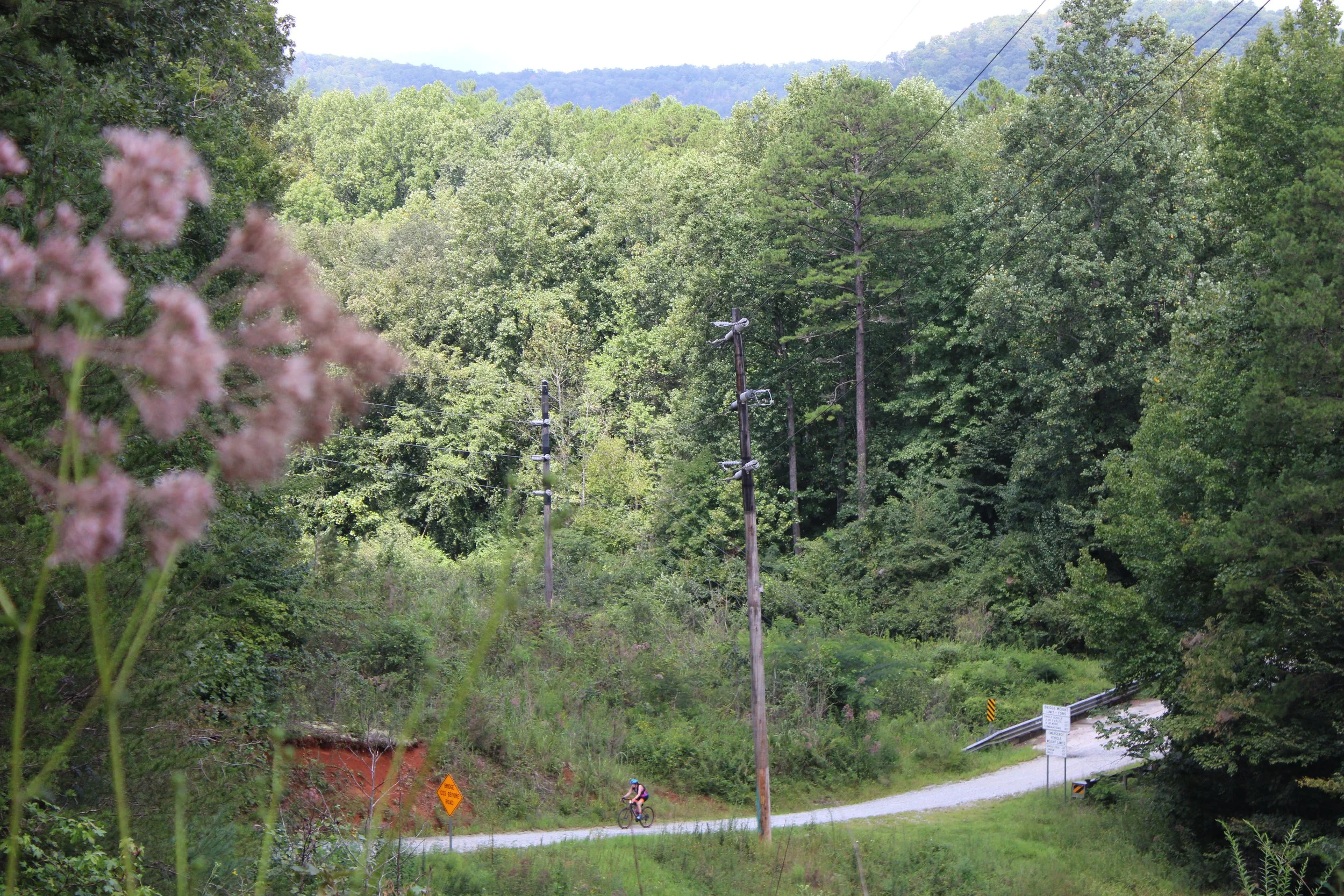 IMG_1407.JPG