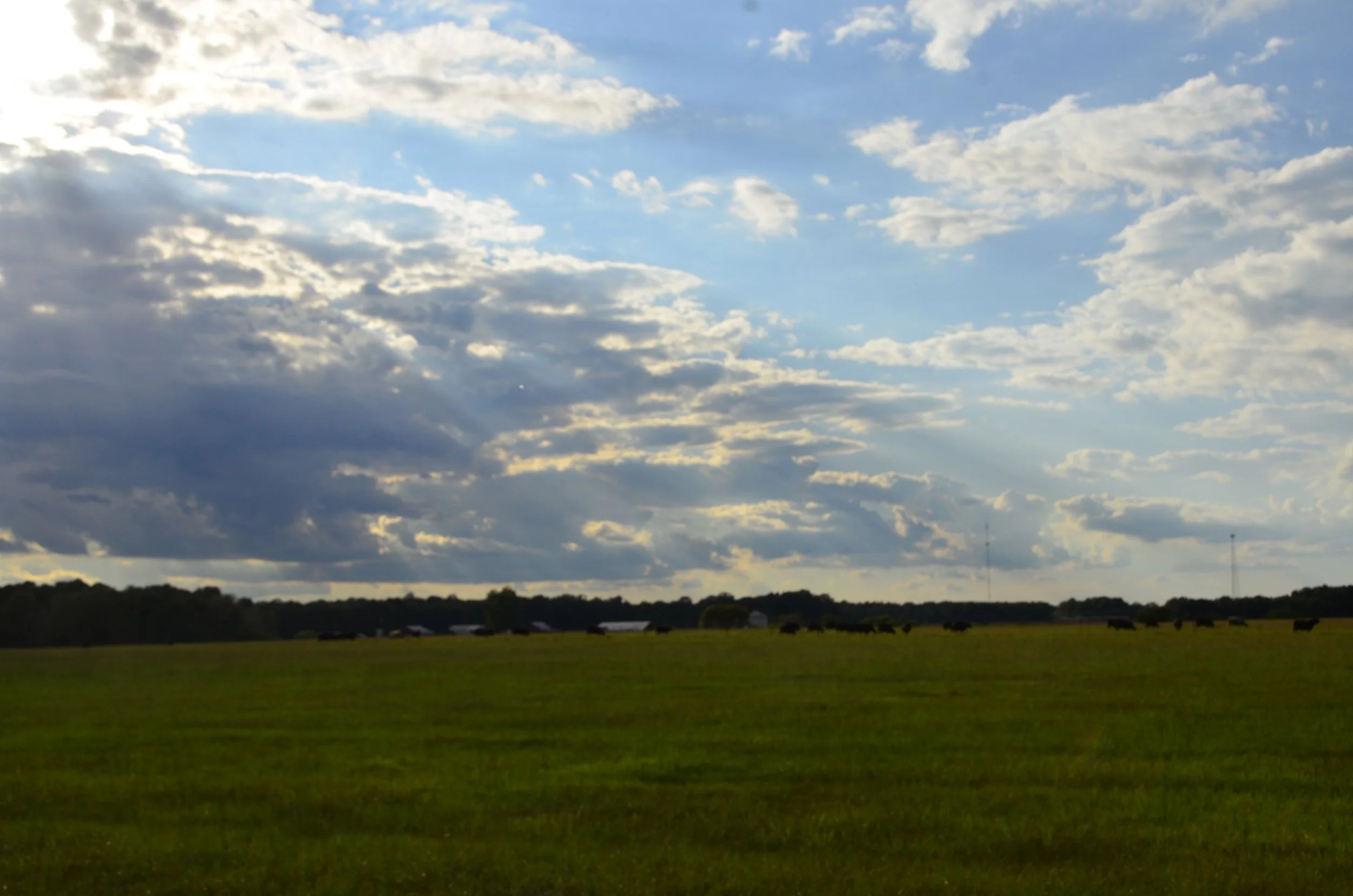 _DSC1187.JPG