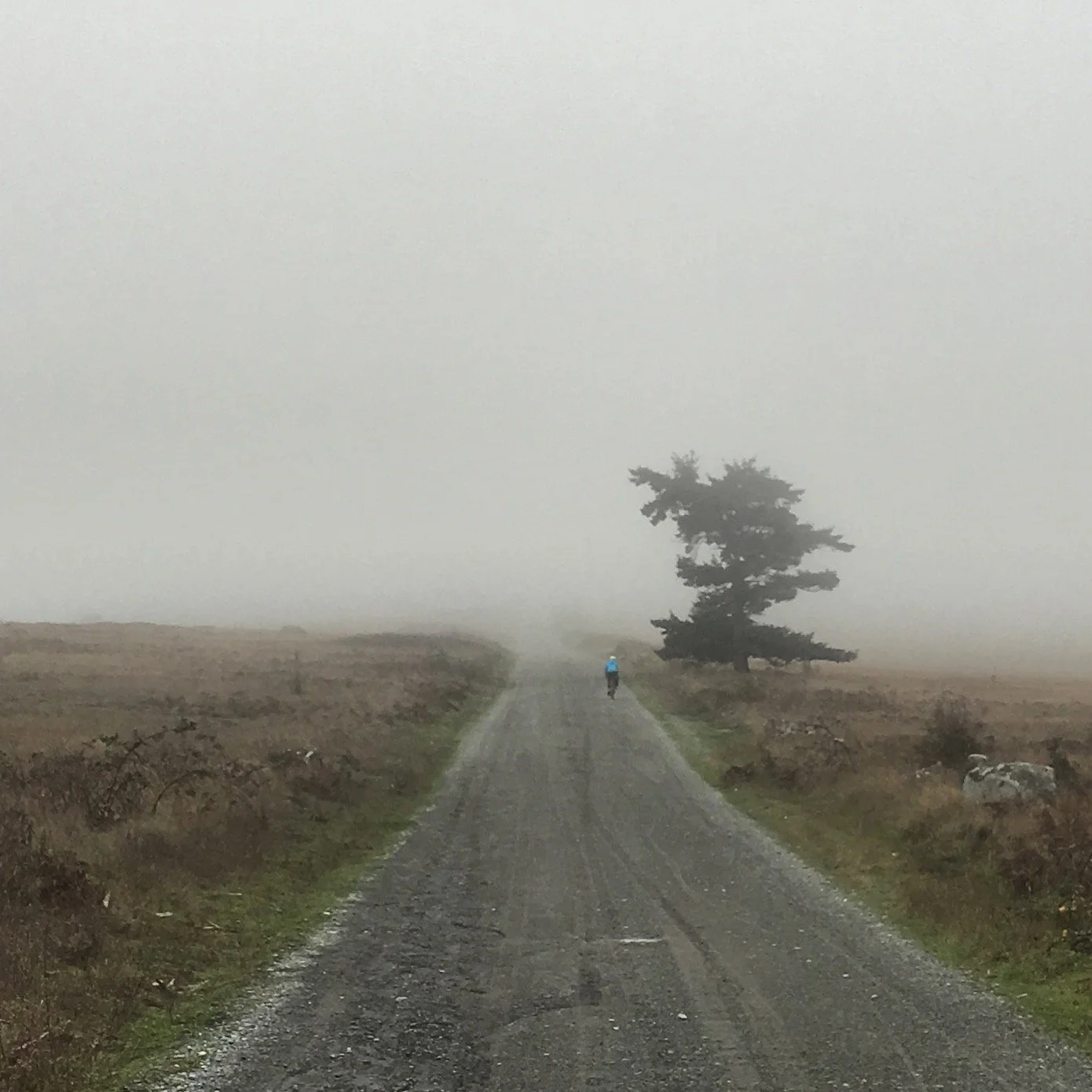 Wishing you hero gravel, tailwinds and gentle downhills for miles as we fade out of 2025 and into 2026. See you all soon. 

Auld Lang Syne.