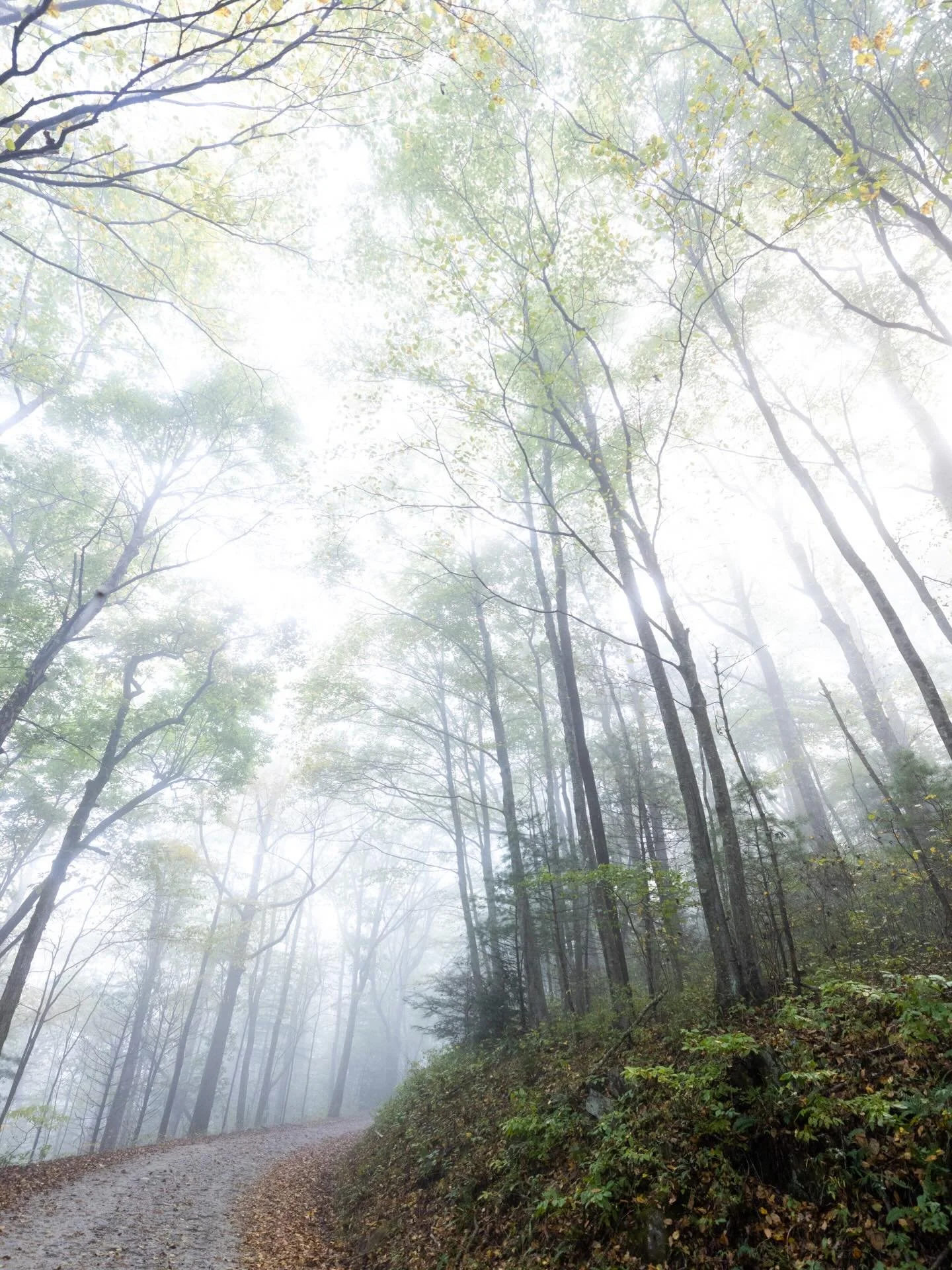 If you are having trouble staying grounded, it&rsquo;s OK to have your head up in the clouds. Also, riding in the clouds seems to ground us. Come ride with us in the August clouds at the #HollerInWalhalla, registration is already open.