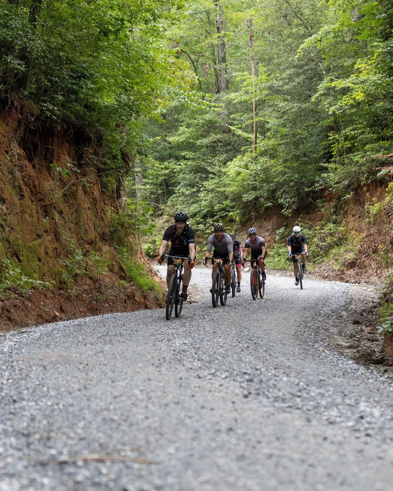 Don't you just love a good road cut in some deep, dark woods? 

 #gravelgrinding #gravelriding #gravelride #gravelrace #gravelcycling #hollerinwalhalla
