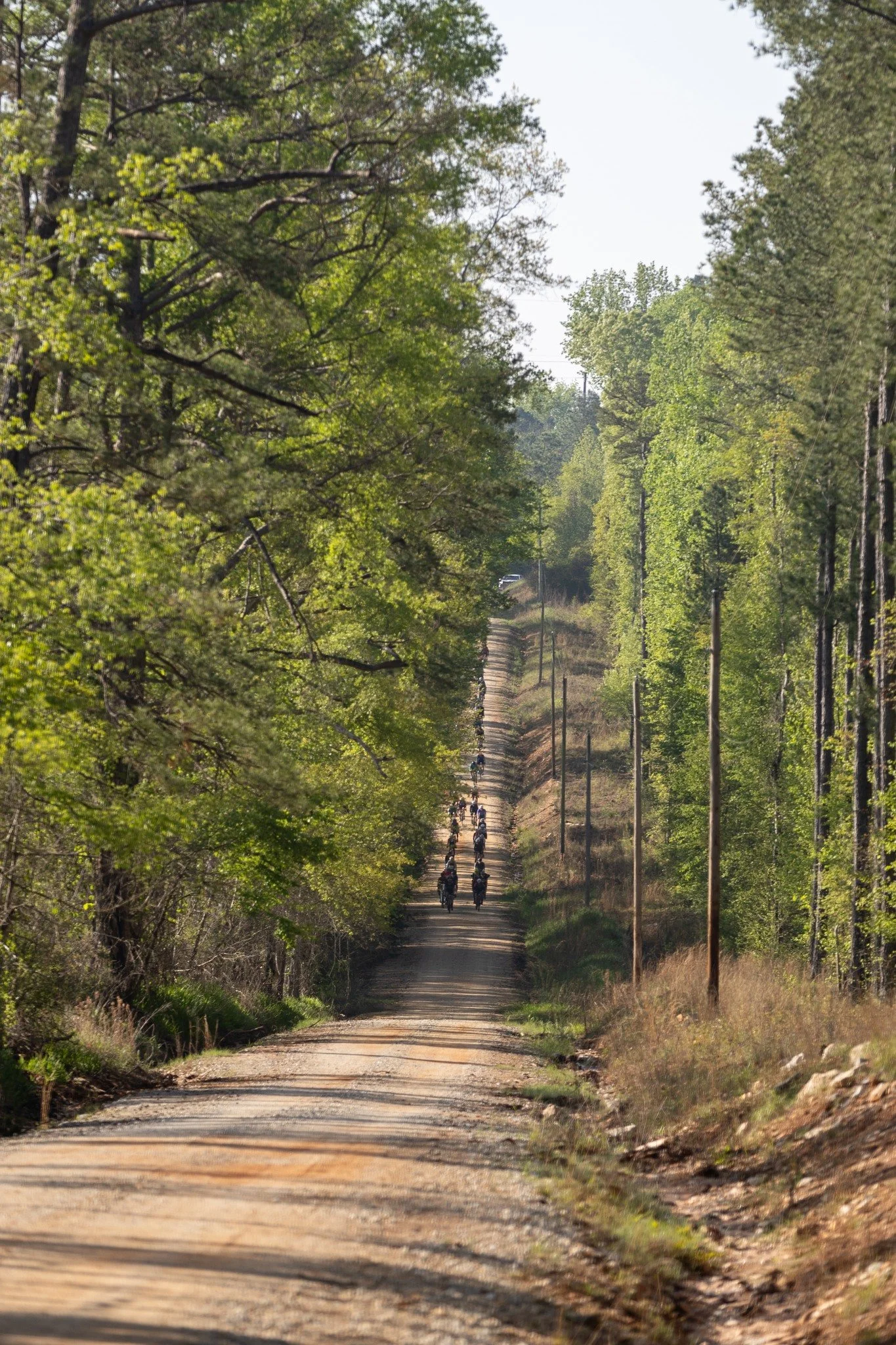 It's a "different" kind of elevation gain they said....

#opelikaokeydokey

#dryheatjokes #GravelRoll #GravelCycling  #gravelride #gravelrace