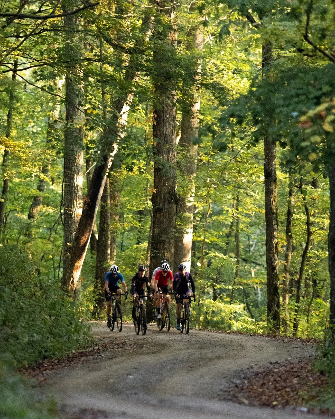 We think this has still got to be one of our most iconic Gravel Roll shots we've ever seen. Mountain gravel gives you that good light. You too can get that good light at the Holler In Walhalla on August 22nd!