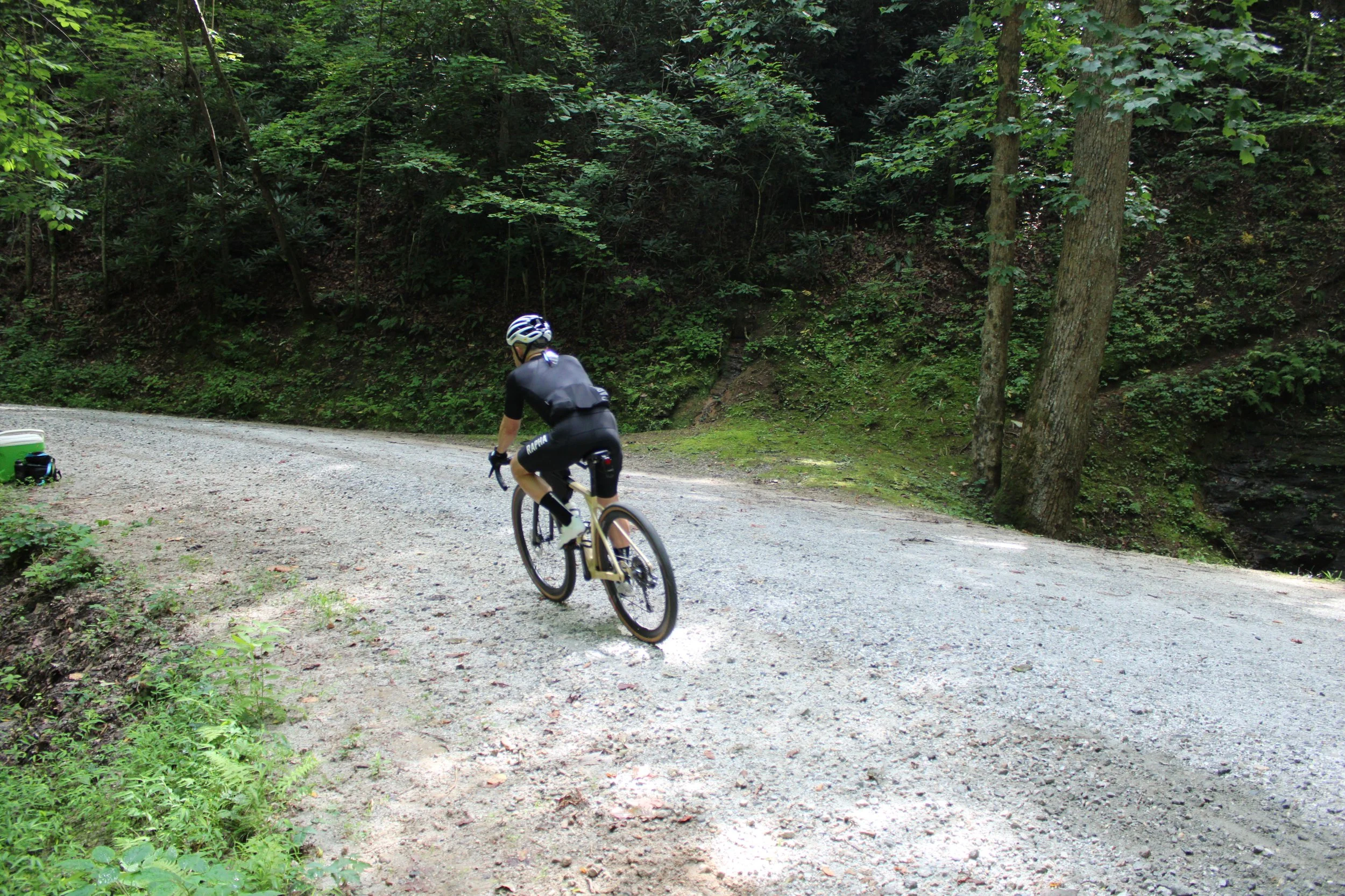 IMG_1342.JPG