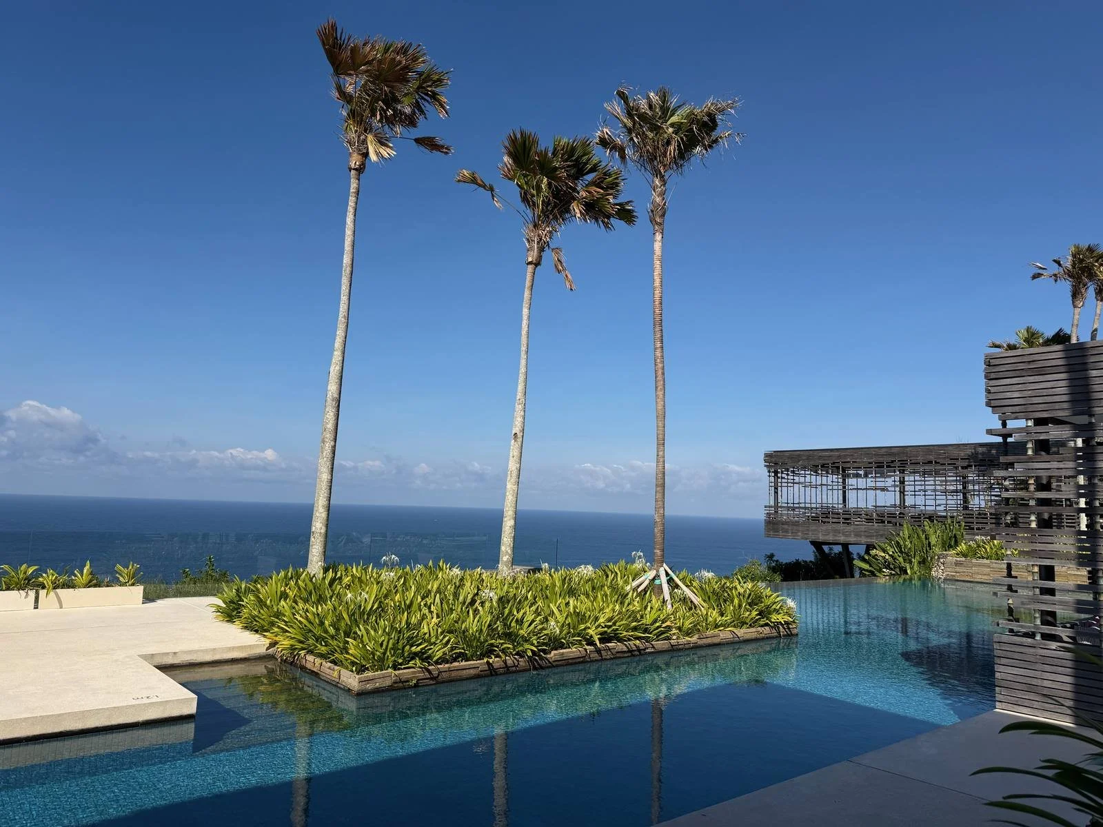alila-villas-uluwatu-infinity-pool-palm-trees-ocean-morning.jpg