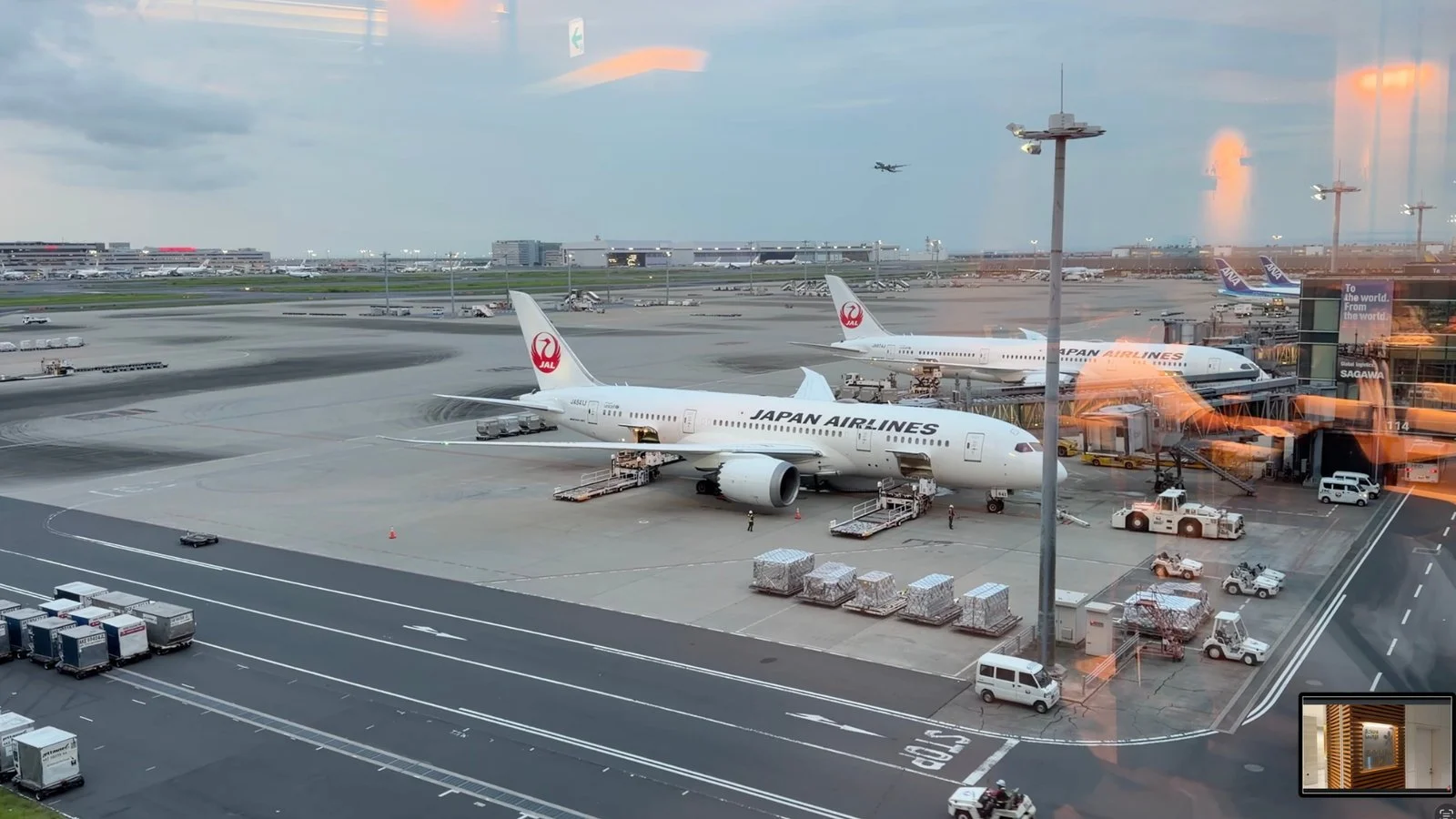 japan-airlines-sakura-lounge-sky-view-tarmac-view