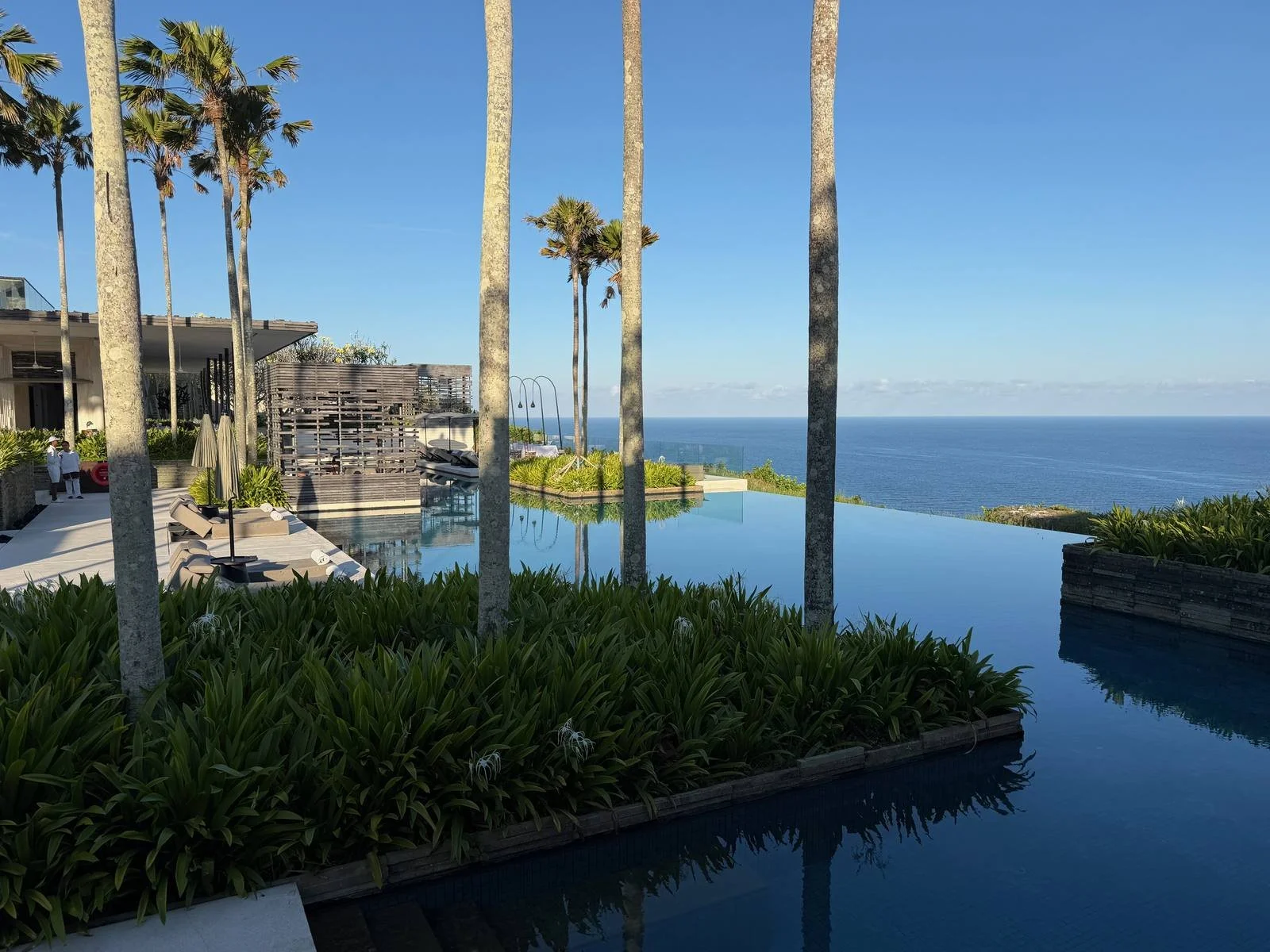 alila-villas-uluwatu-infinity-pool-palm-trees-ocean.jpg