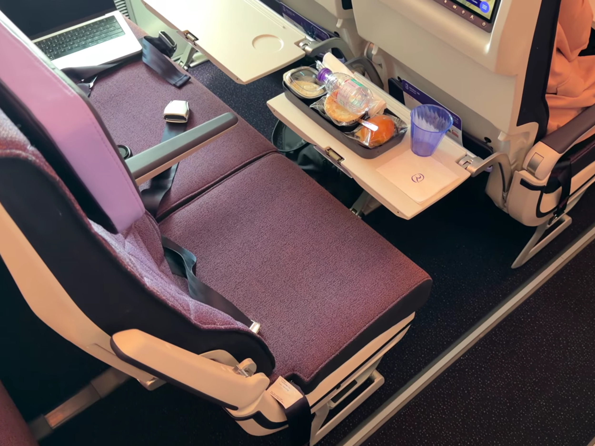 Riyadh Air 787-9 economy class seat features