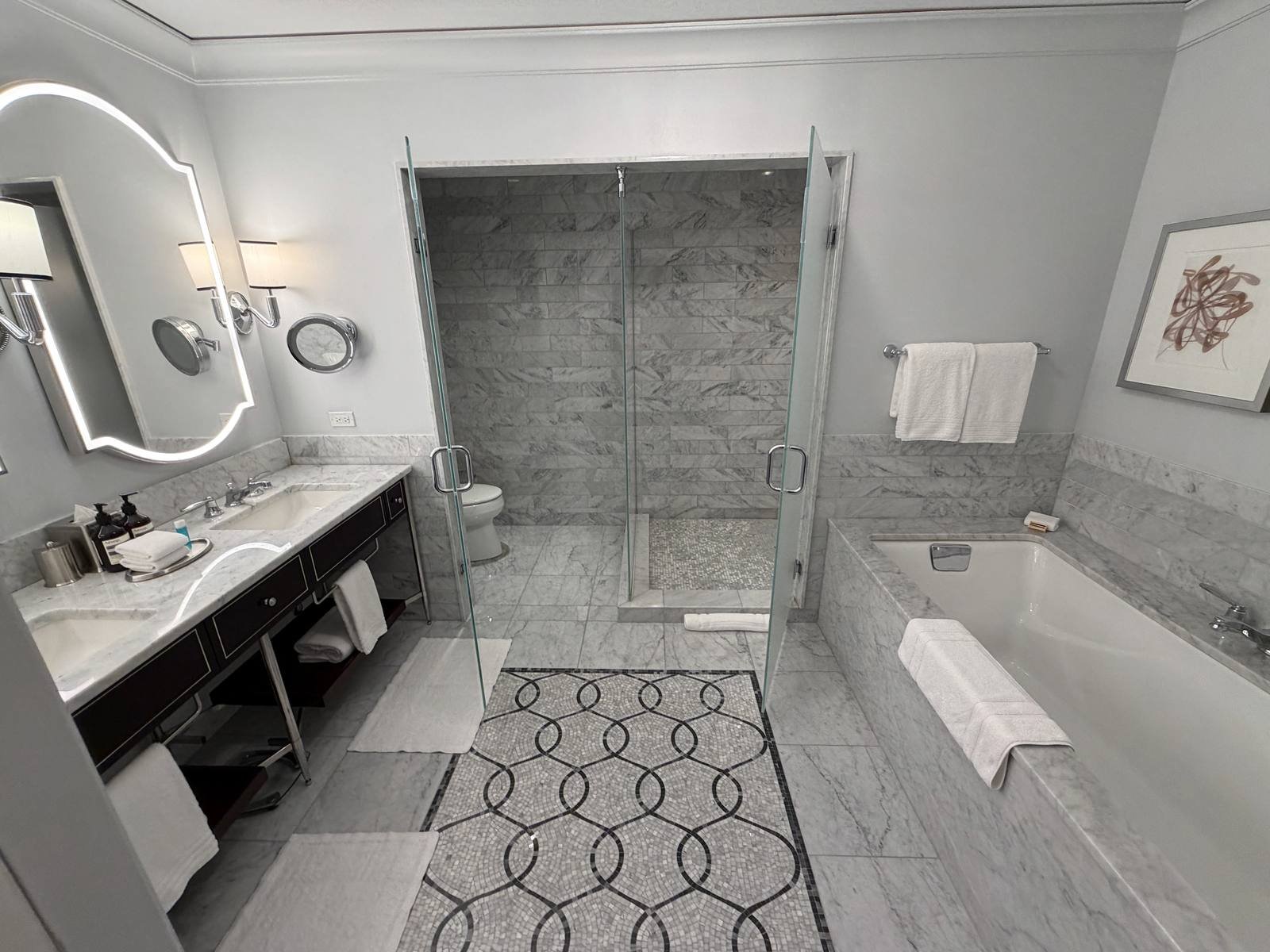 waldorf-astoria-chicago-junior-suite-bathroom-layout-toilet-shower.jpg