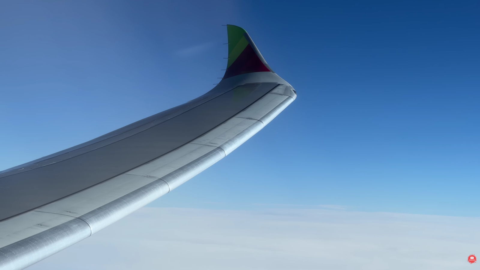 TAP Portugal A330-900 aircraft wing