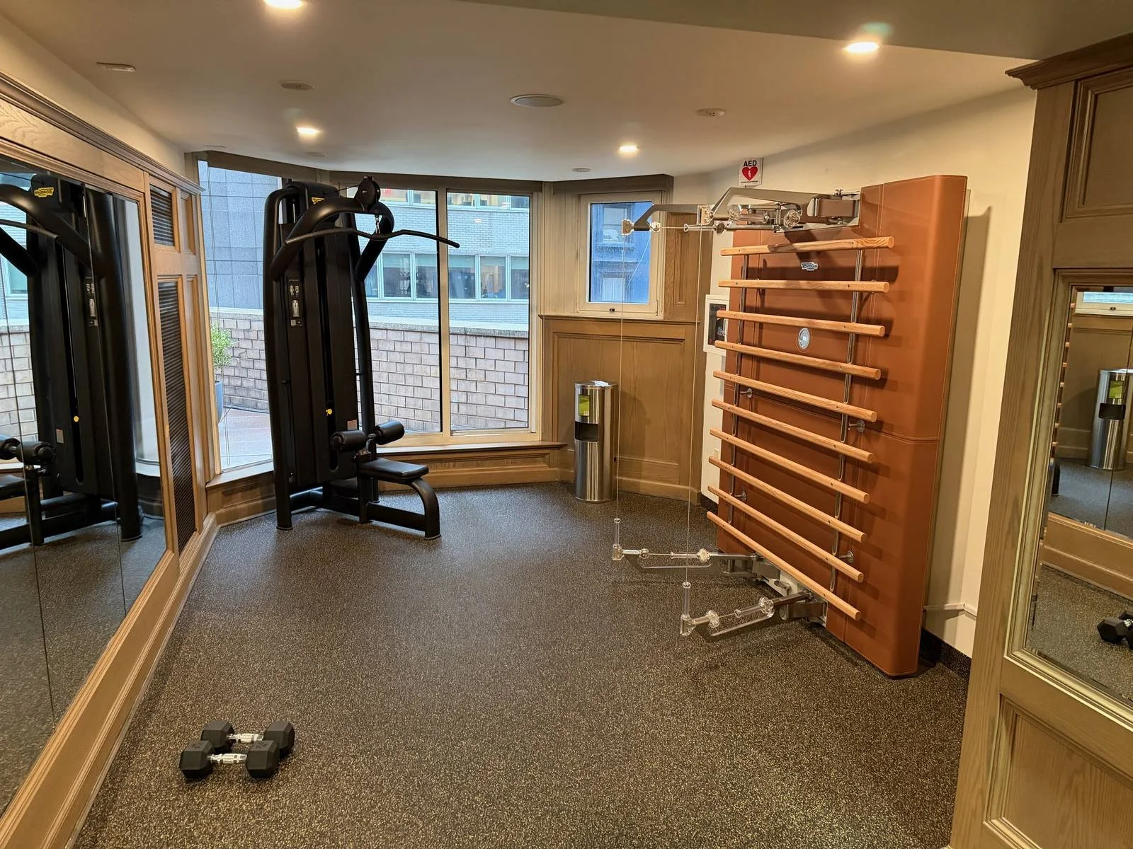 the-london-nyc-luxury-collection-gym-cable-machine-stall-bars