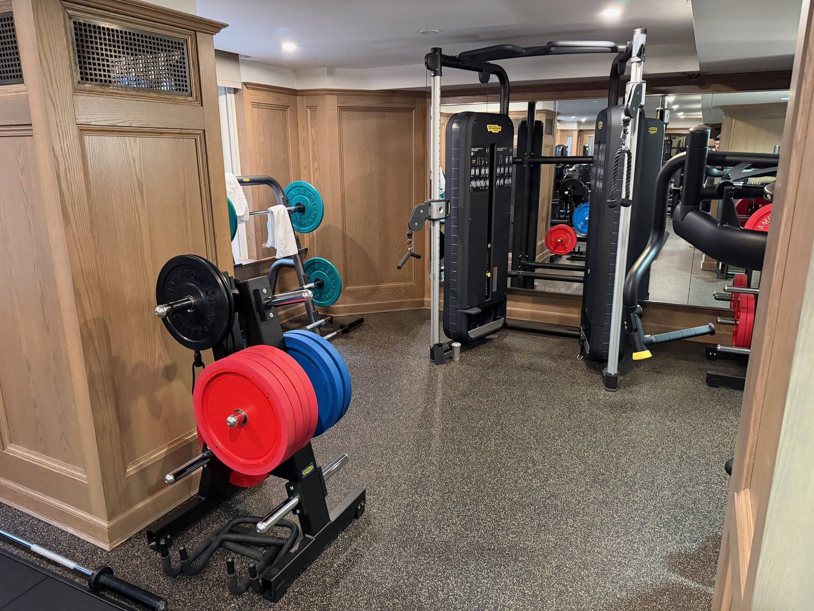 the-london-nyc-luxury-collection-gym-cable-crossover-weight-plates