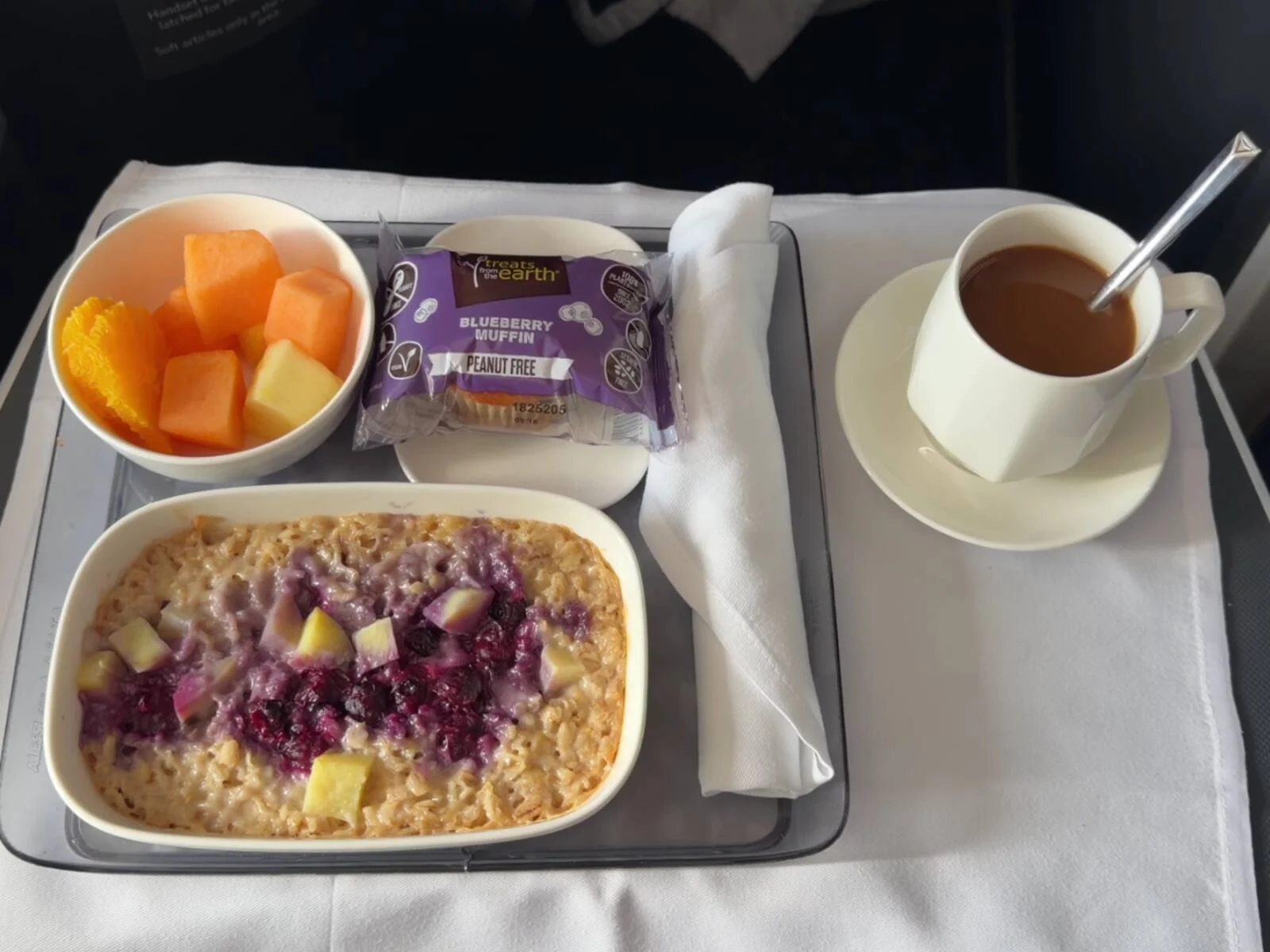 delta-one-a350-pre-landing-meal-oatmeal-fruit-blueberry-muffin