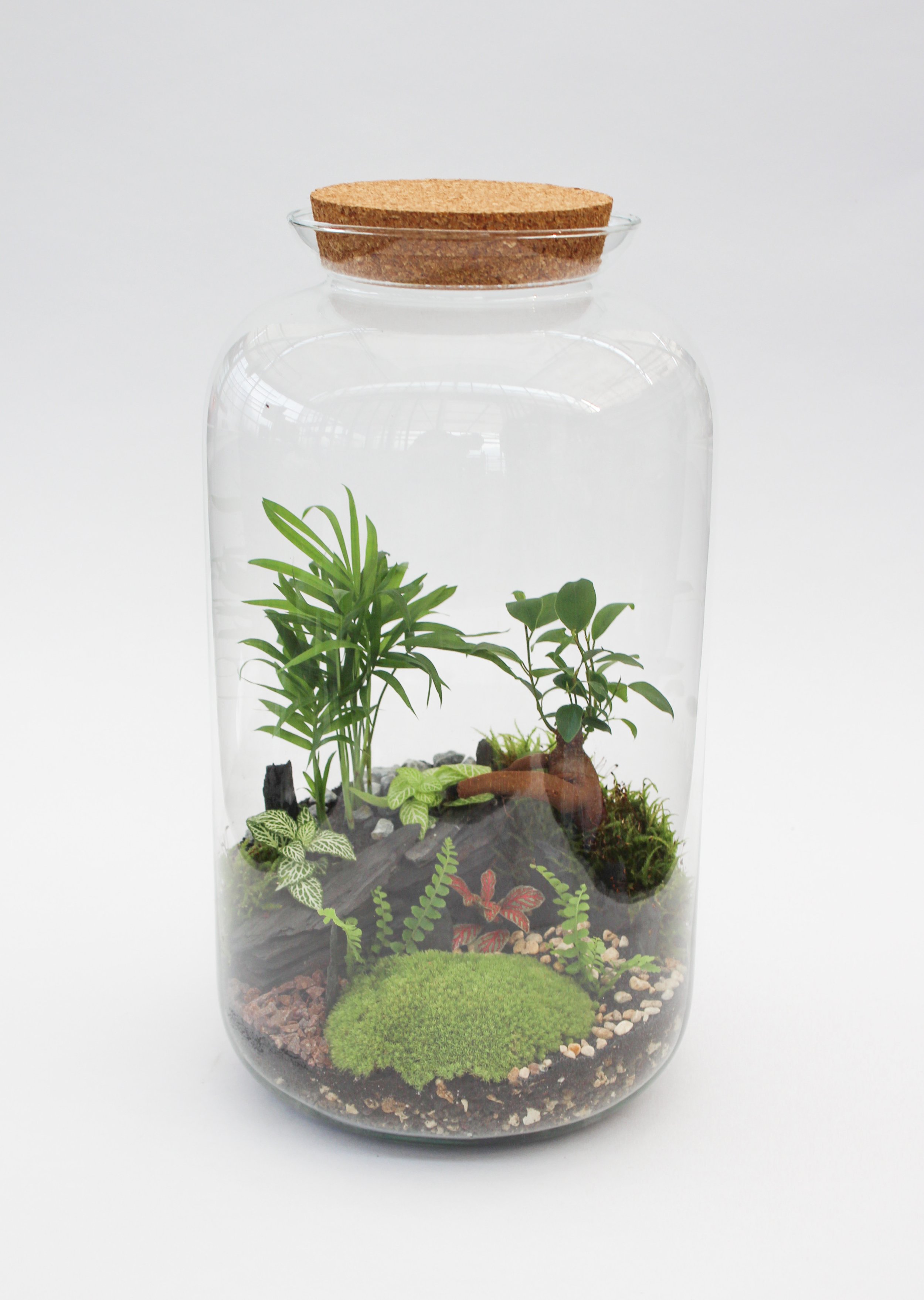 Terrarium Lavaux