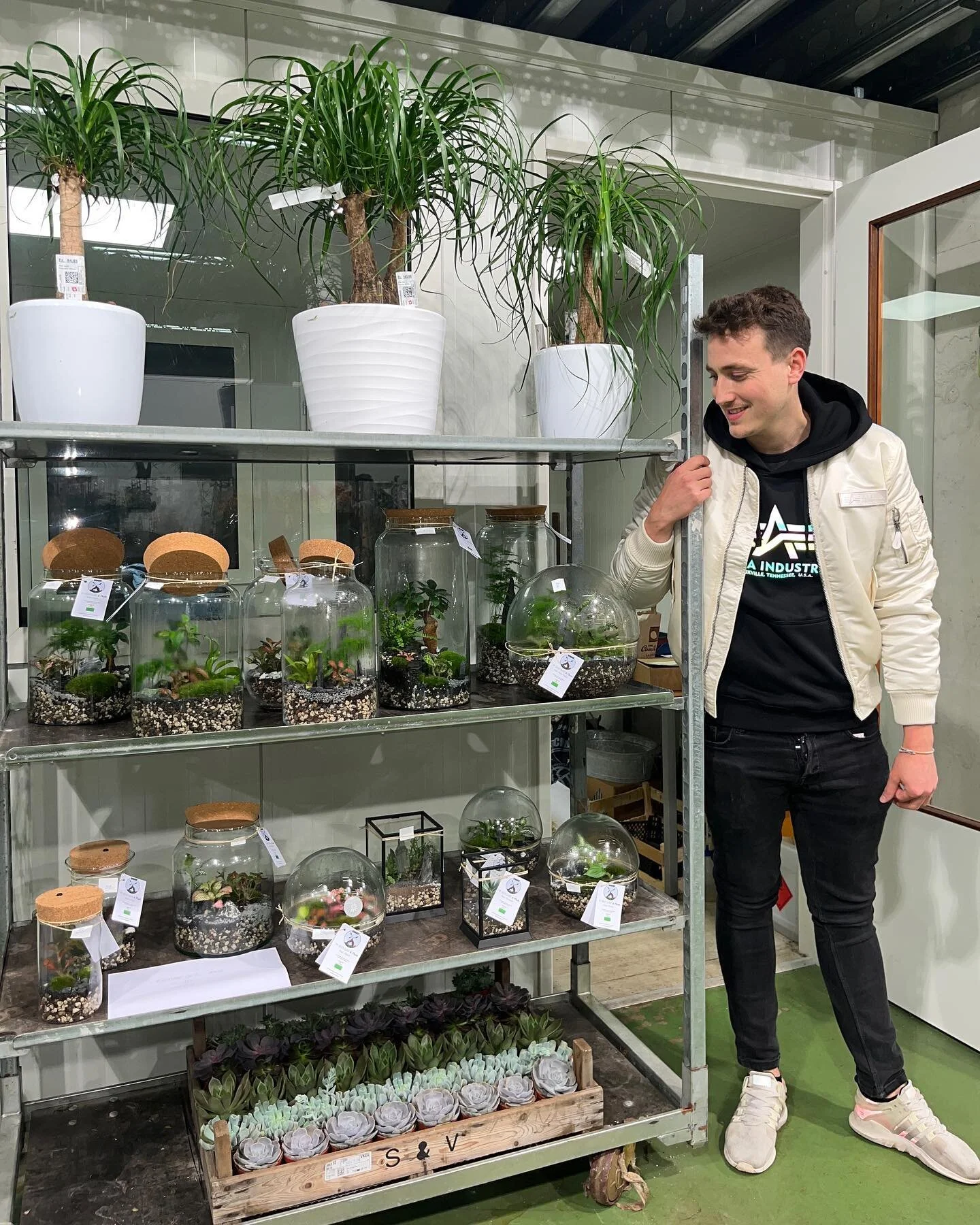 Plantes Rares et Terrariums Suisses My Green Glass & Plants