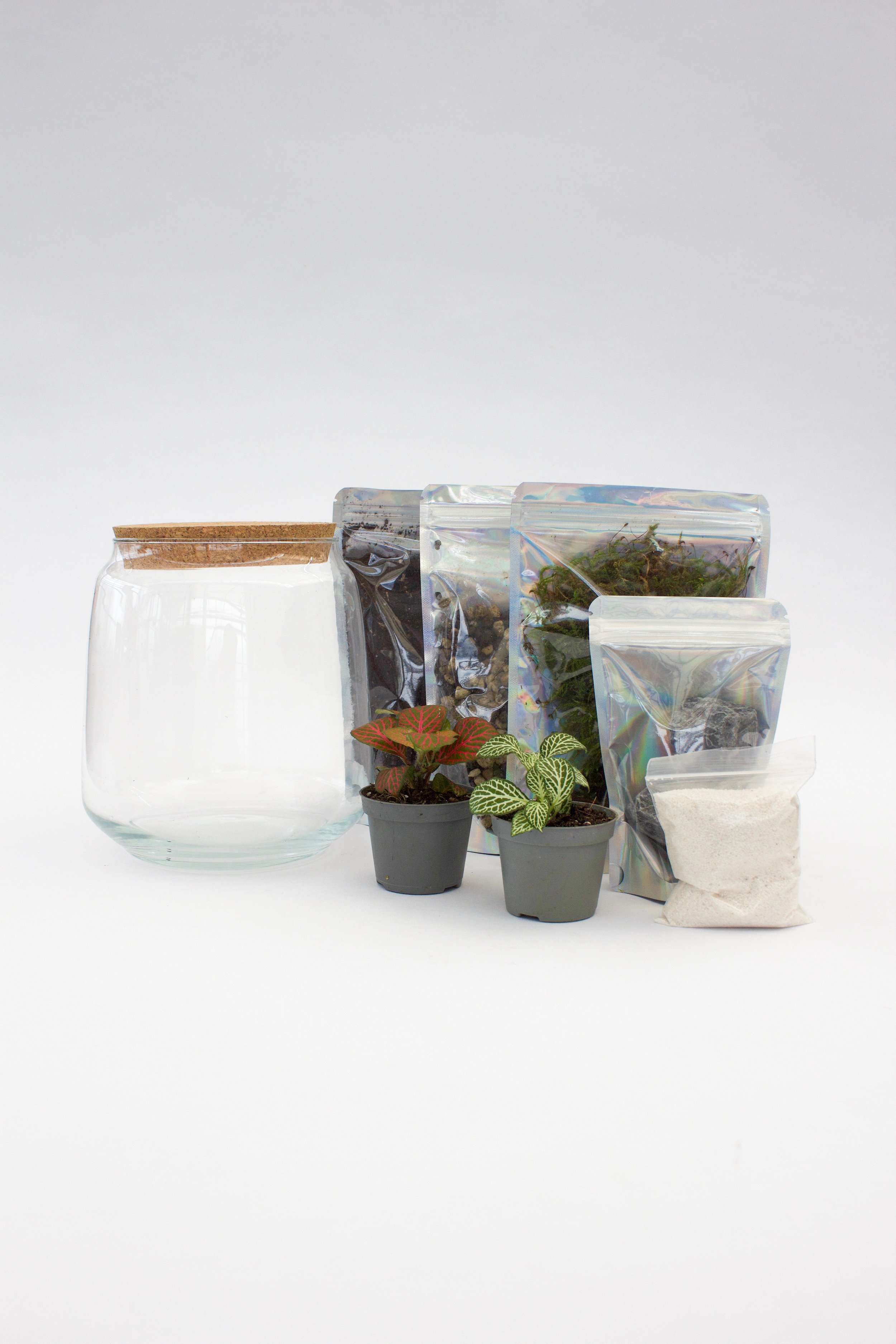 Kit Terrarium Winterthur