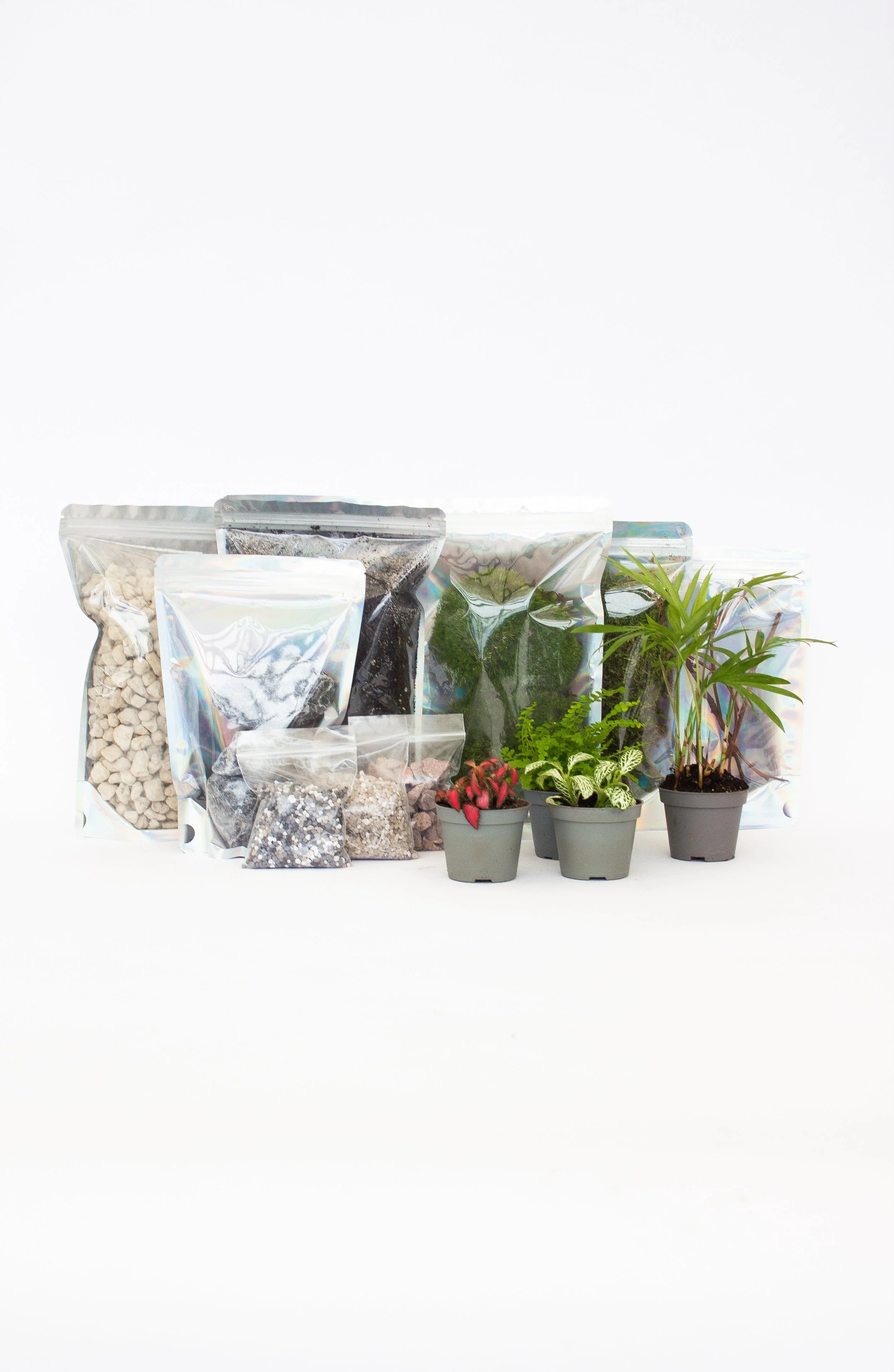 Kit DIY sans bocal - Large